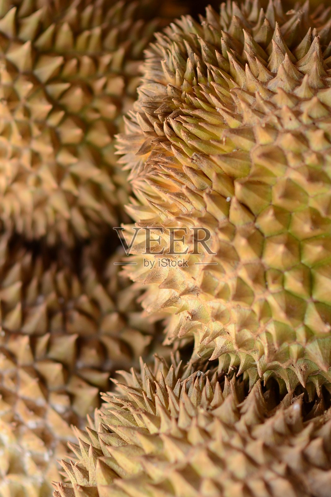 泰国市场的食材照片摄影图片