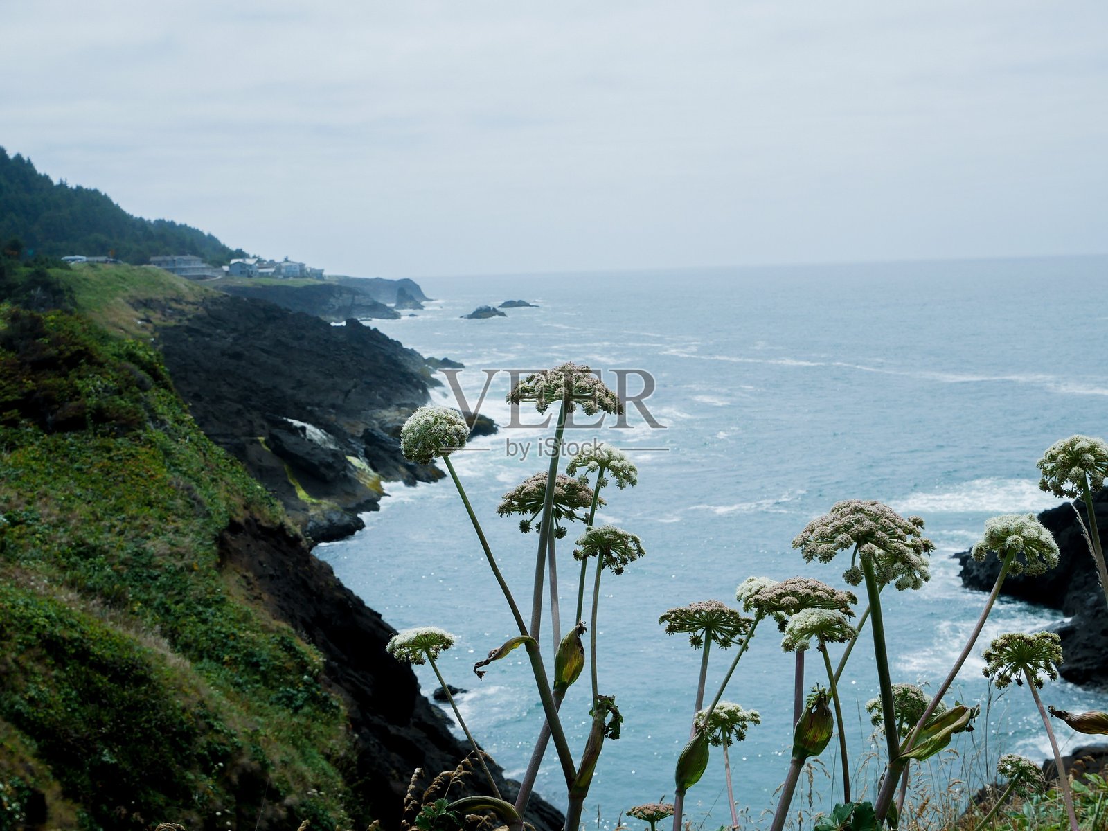 华盛顿海岸照片摄影图片