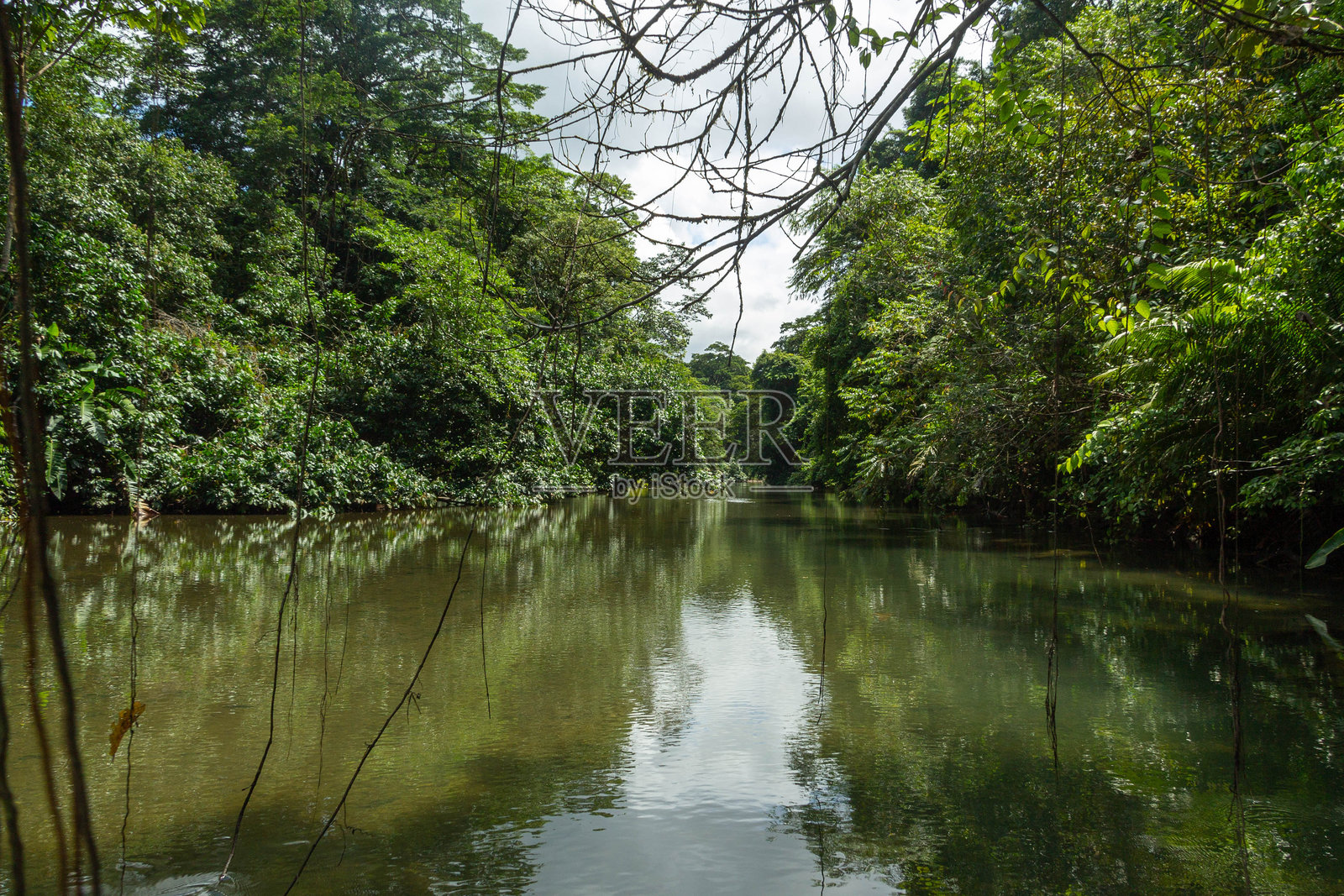 太平洋低语照片摄影图片