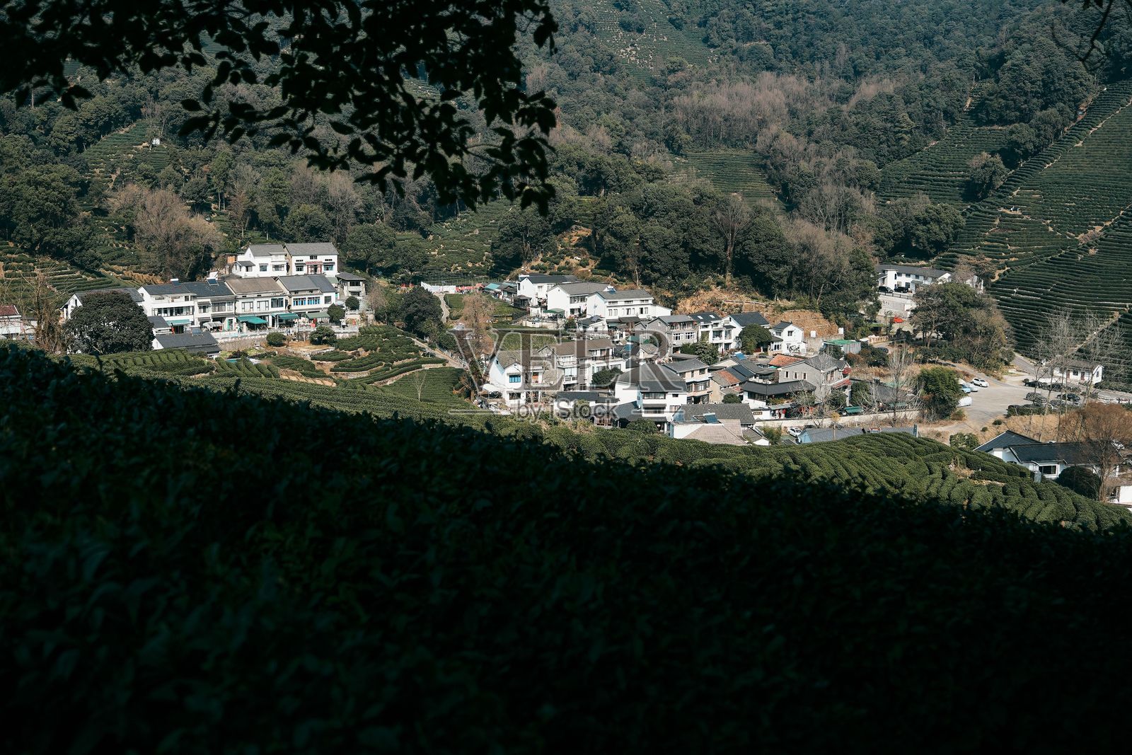风景如画的村庄坐落在郁郁葱葱的山丘中,茶园在晴朗的天空下绽放。照片摄影图片