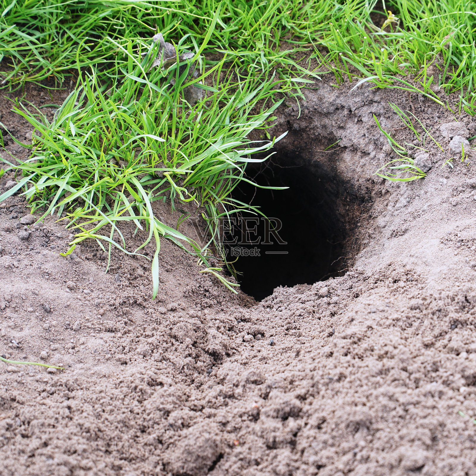 新挖的地鼠洞照片摄影图片