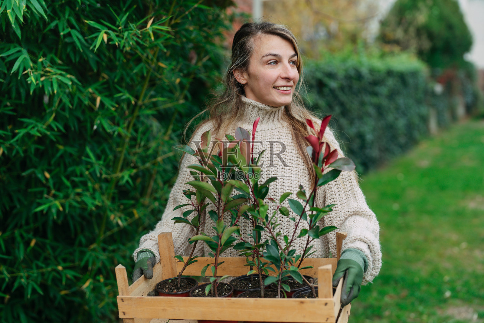 乡村花园中的快乐时刻照片摄影图片