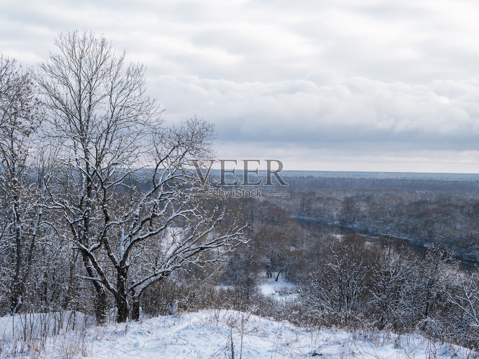 冬季风景,雪覆盖的树木和一条河流。从山丘上俯瞰。照片摄影图片