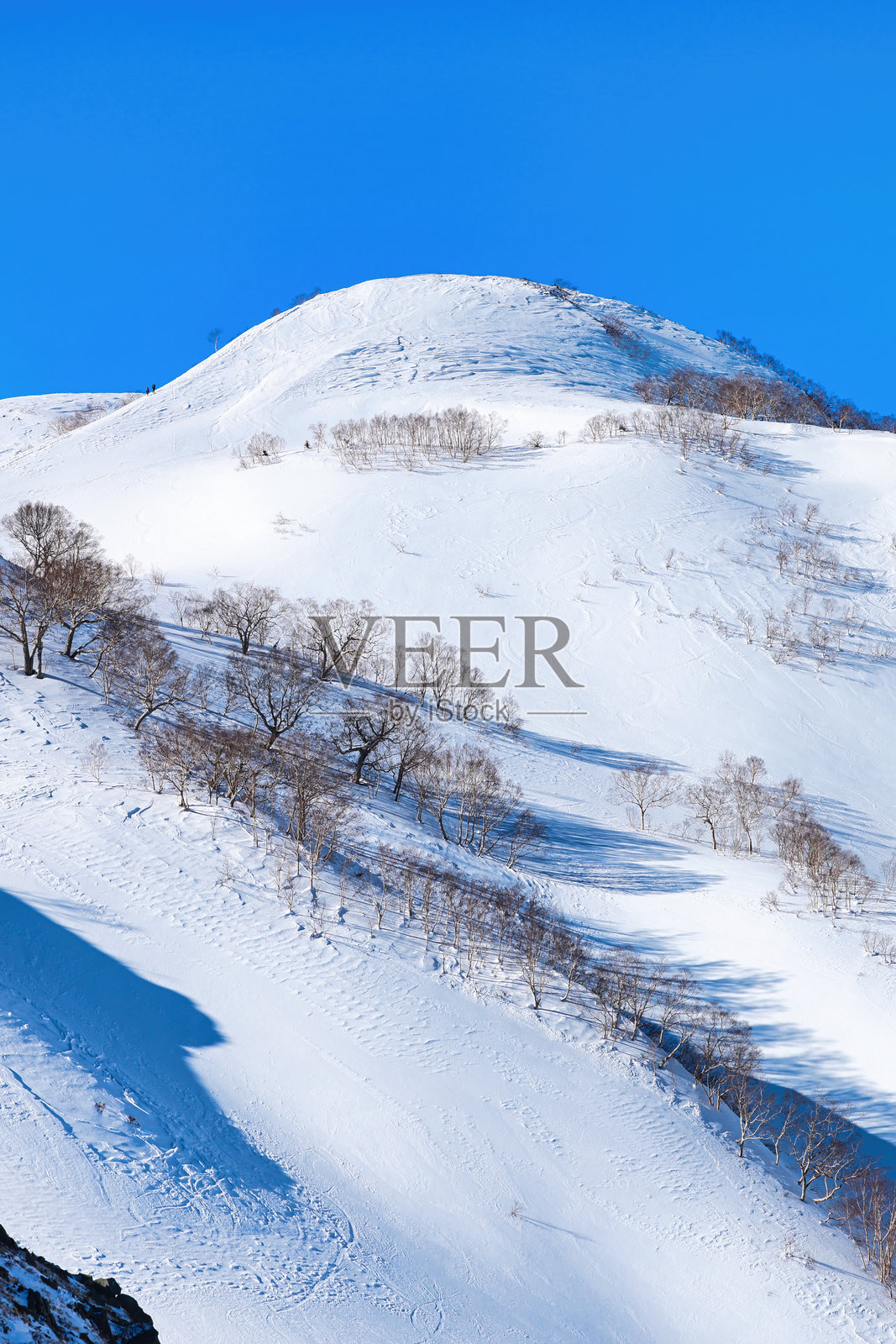 日本北阿尔卑斯山的雪顶唐松岳八方尾根照片摄影图片