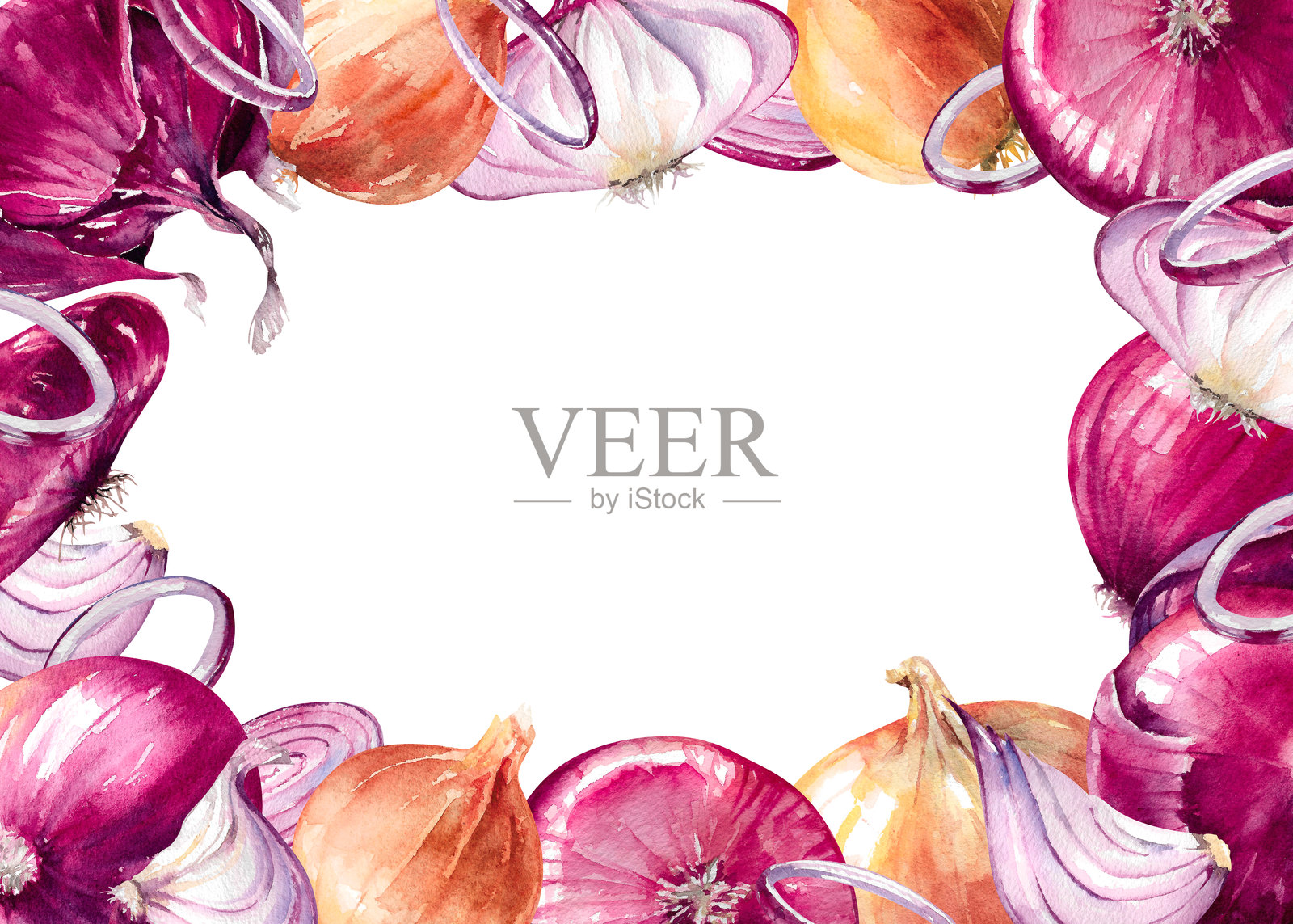 紫色和黄色洋葱的整颗和切片水彩框架模板,适用于食品、收获和农场设计插画图片素材