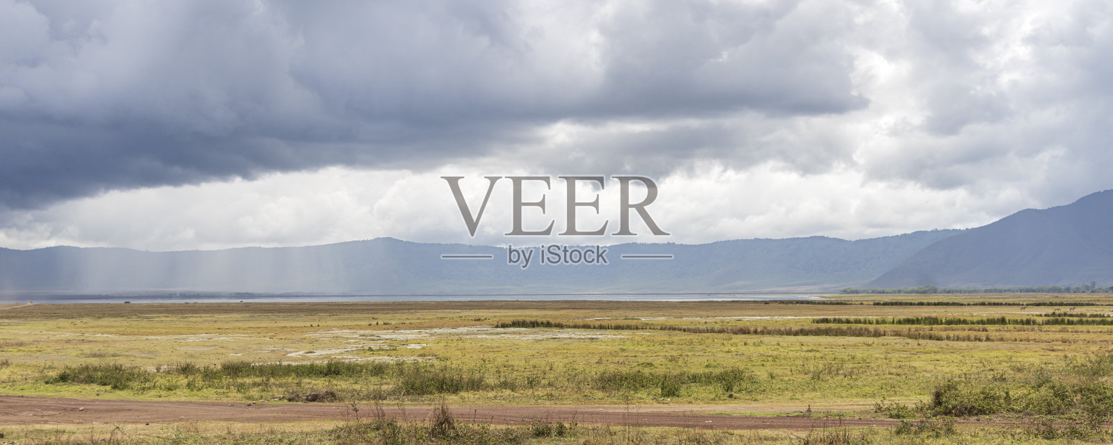 坦桑尼亚东非恩戈罗恩戈罗火山口的野生动物 safari照片摄影图片