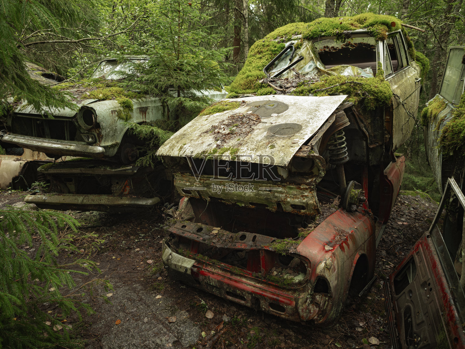 自然中的废弃复古汽车照片摄影图片