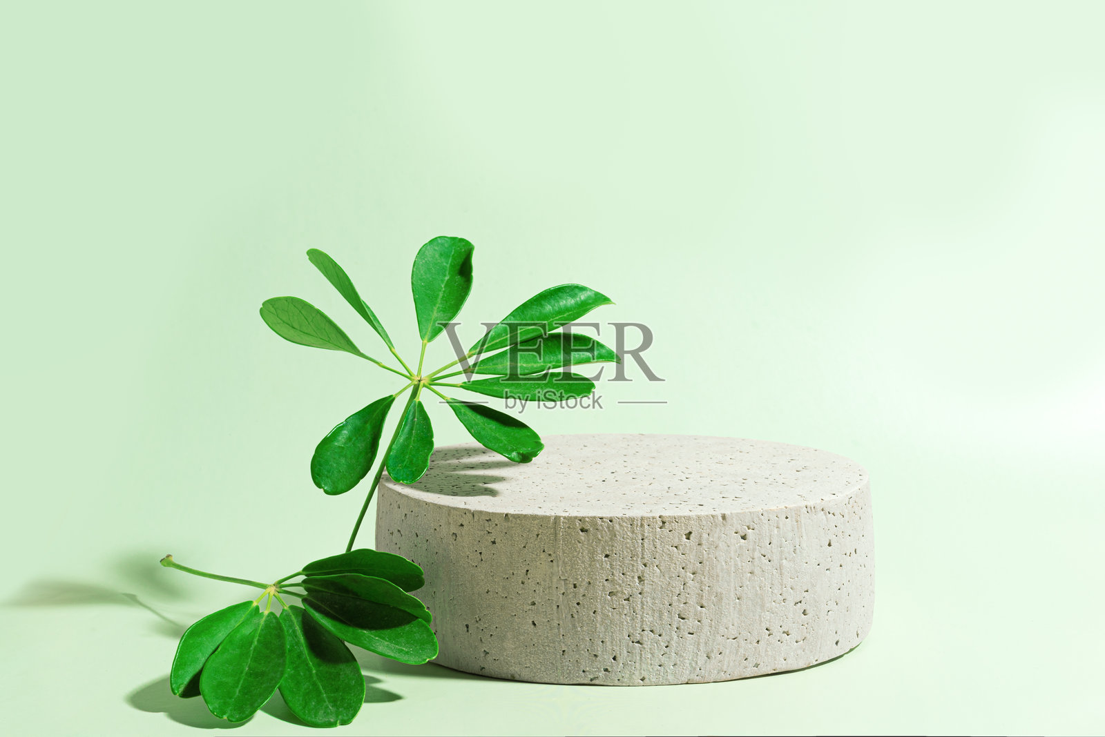 空的混凝土讲台上放着绿色叶子,背景为浅绿色照片摄影图片