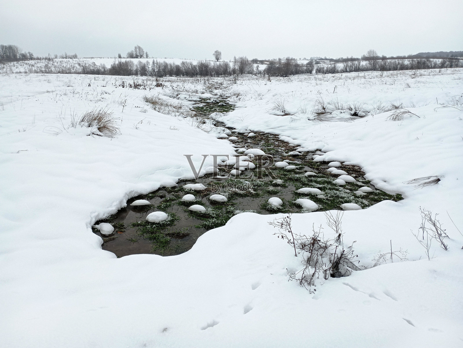 冬天过后的热身。第一丛草出现在田野里。冬季后形成的溪流。照片摄影图片
