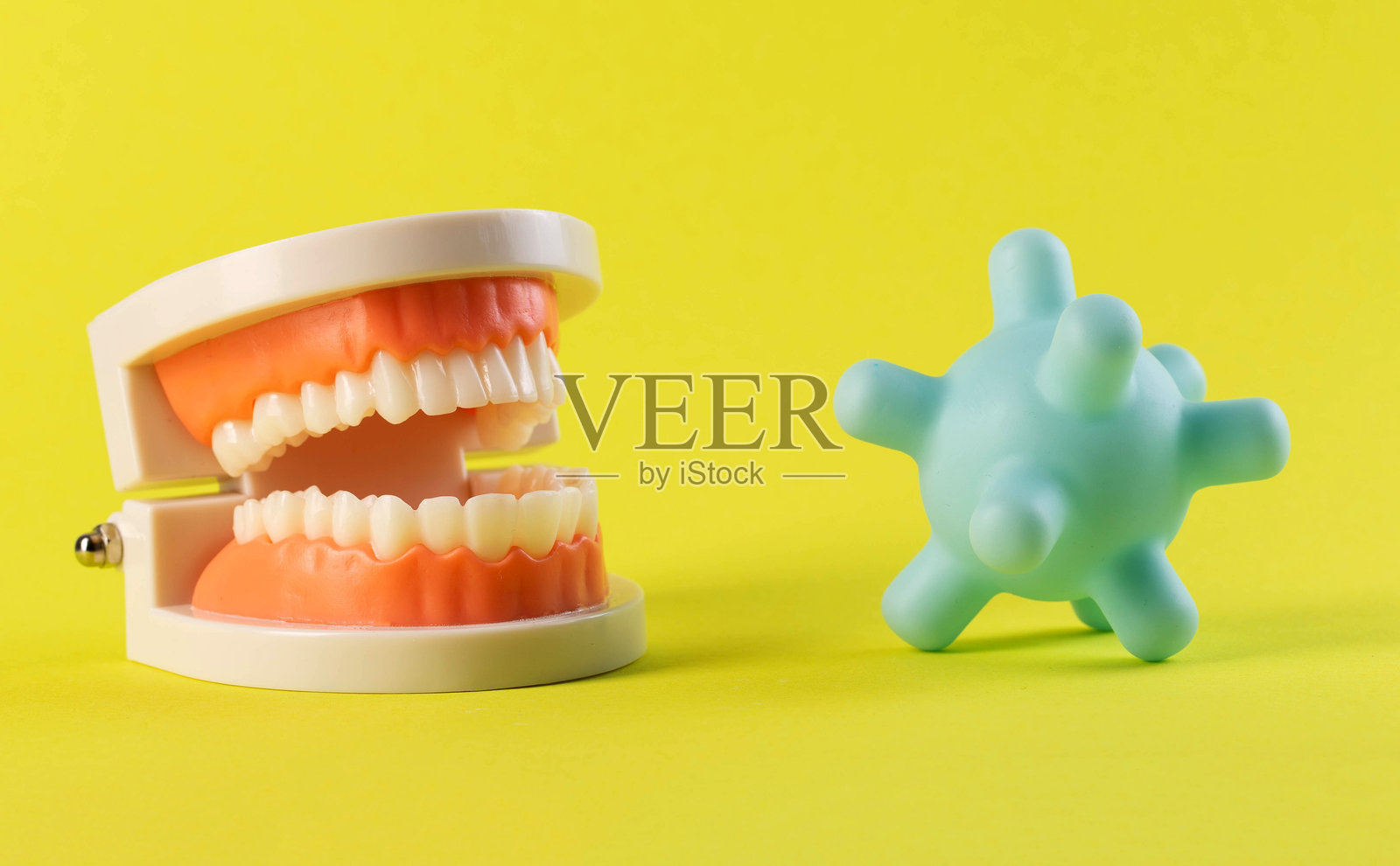 病毒和细菌模型在黄色背景牙颌模型。龋齿引起的口腔内病原菌群的概念。口腔卫生,特写。Porphyromonas gingivalis照片摄影图片