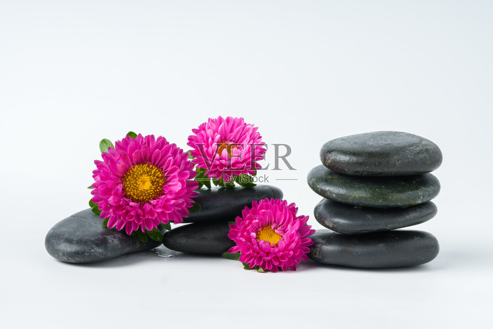 水疗石和花在白色的背景照片摄影图片