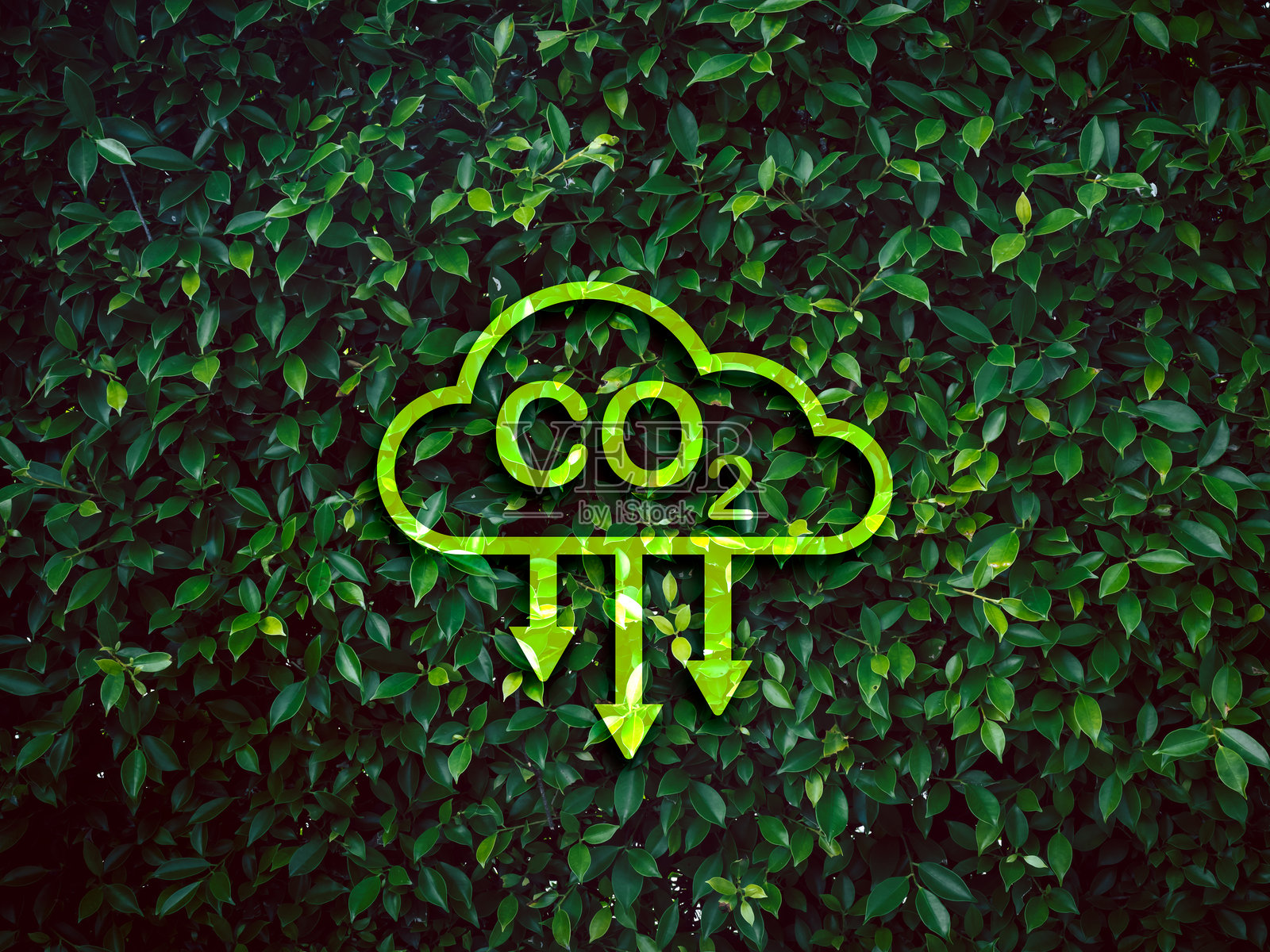 碳减排图标出现在绿叶灌木背景上。减少二氧化碳排放,限制气候变化,全球变暖和净零二氧化碳减排概念。照片摄影图片