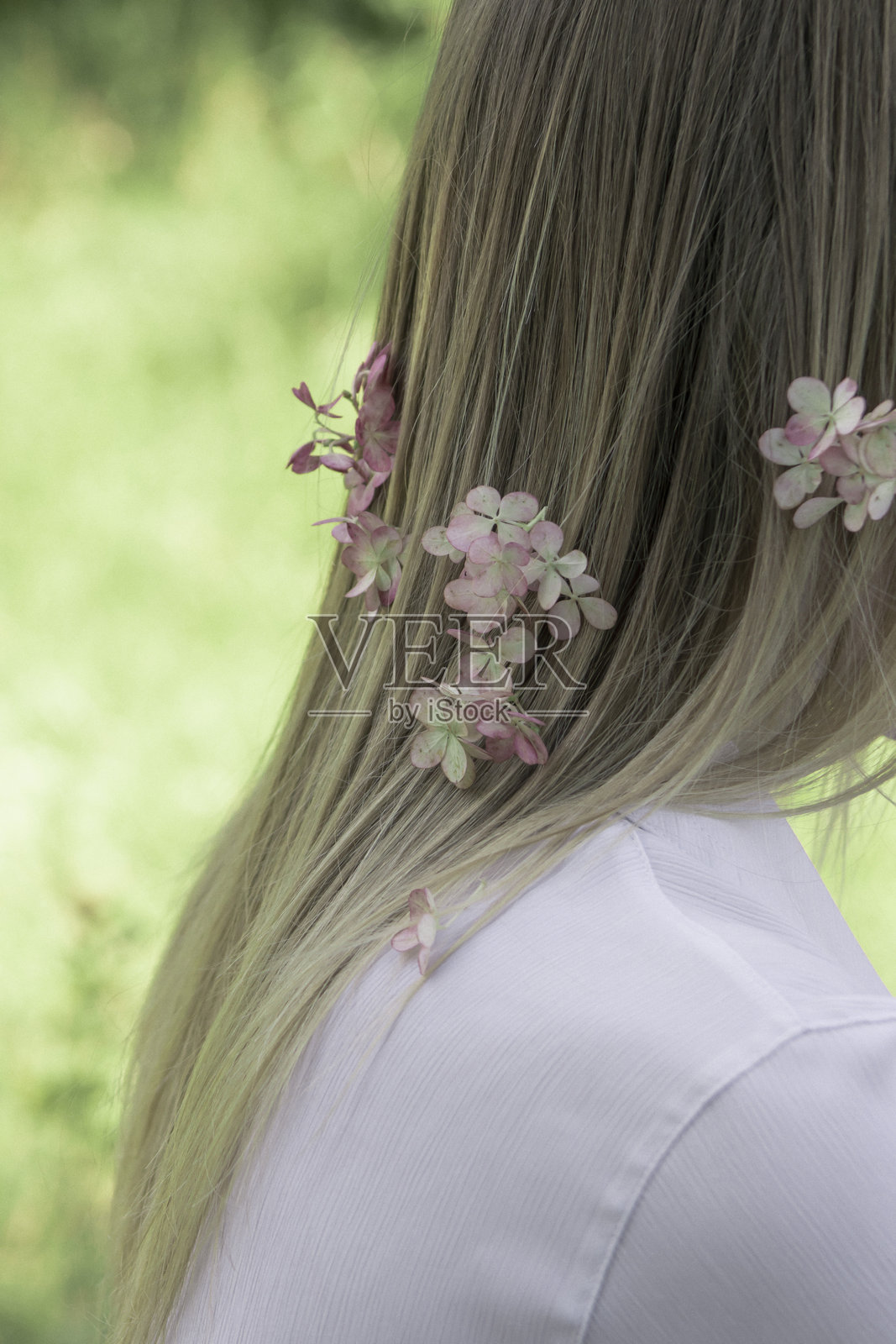 女孩的头发与绣球花特写照片摄影图片