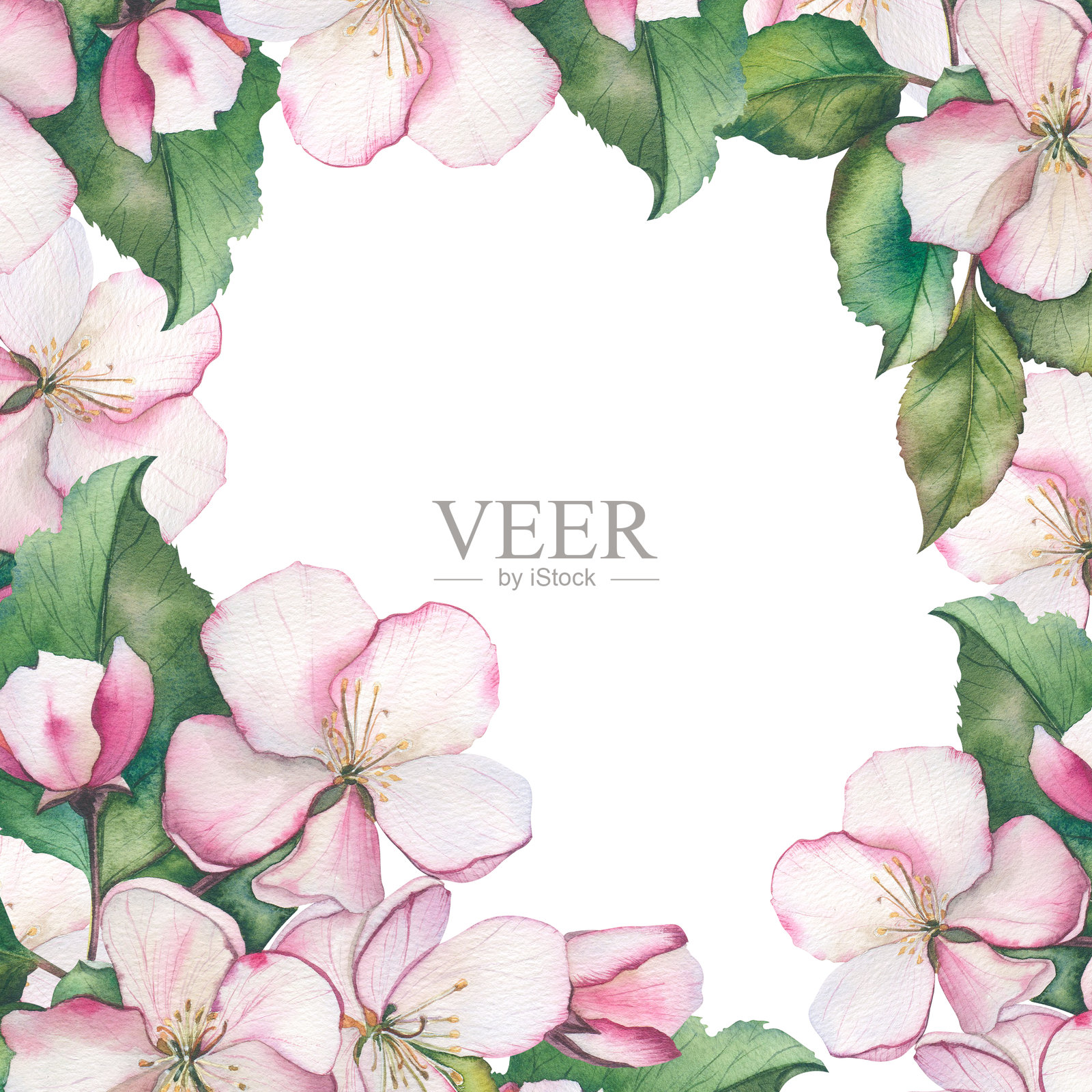 水彩苹果花框。复古粉色花朵(苹果、樱花)。适用于复古贺卡的花卉框架。水彩画插画图片素材