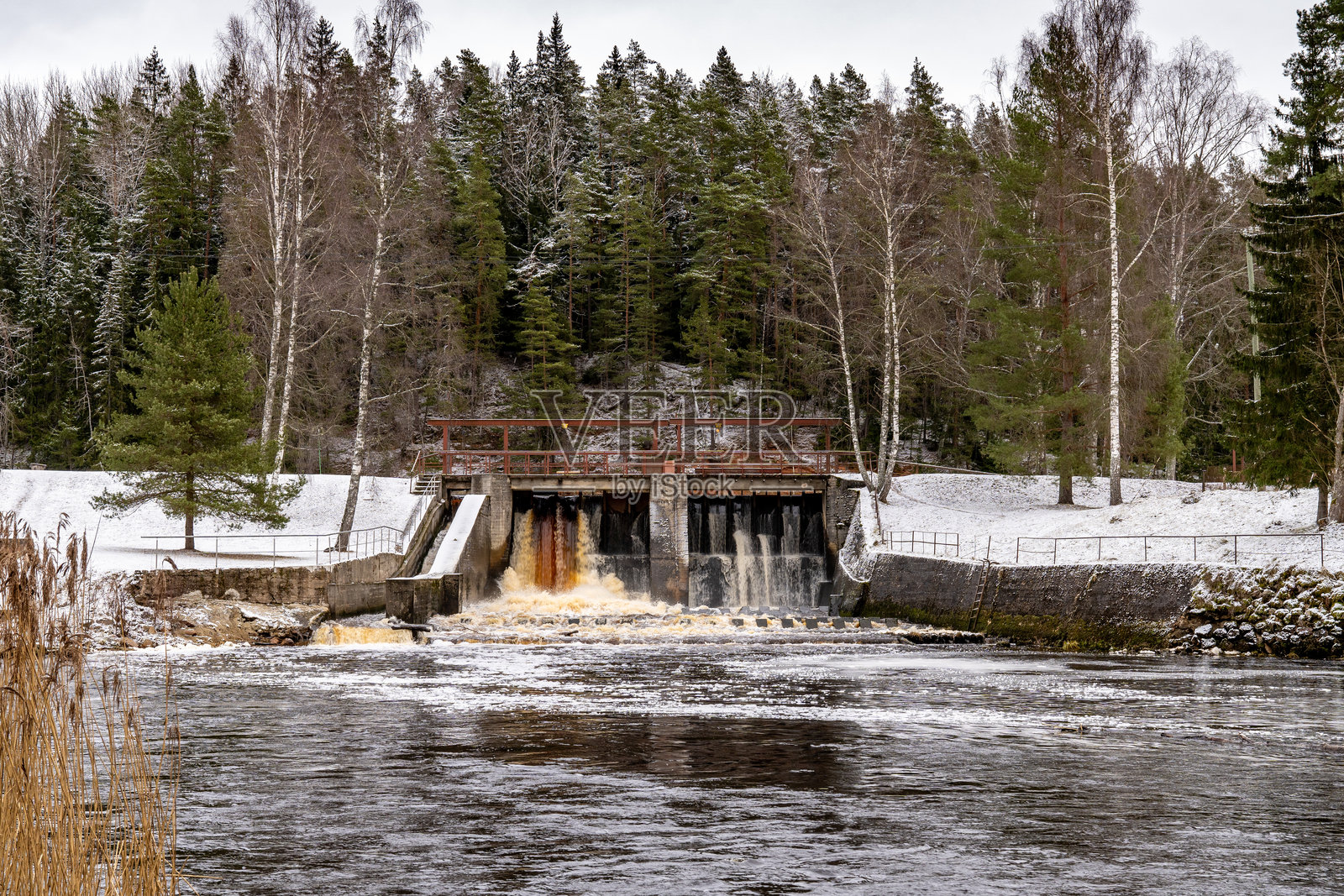 冬季流淌:雪松环绕中的风景河坝。雪景森林中的乡村坝照片摄影图片