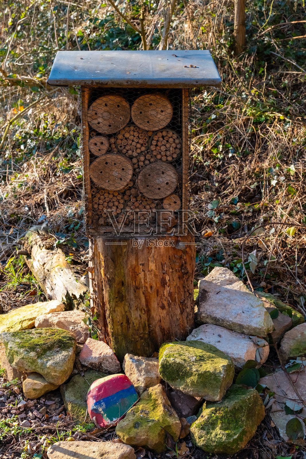 蜜蜂旅馆,旨在支持自然花园环境中的授粉者,阳光明媚的日子里。照片摄影图片