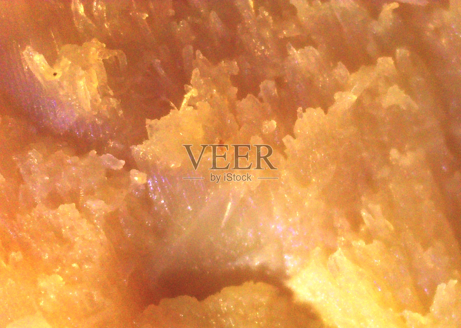 烤肉,食物细节。显微镜下的图像,微观摄影。科学、研究与教育。多重放大,特写。科学摄影照片摄影图片