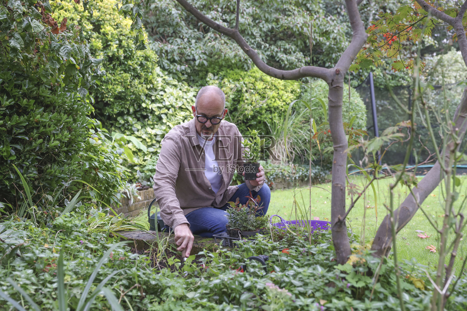 成熟男性在花园里种植照片摄影图片