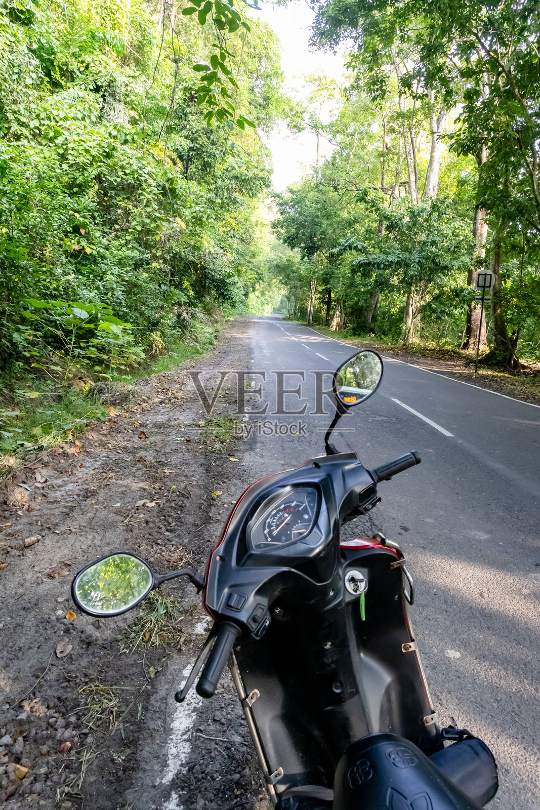 在空旷的森林道路上骑着轻便摩托车,周围绿意盎然。照片摄影图片