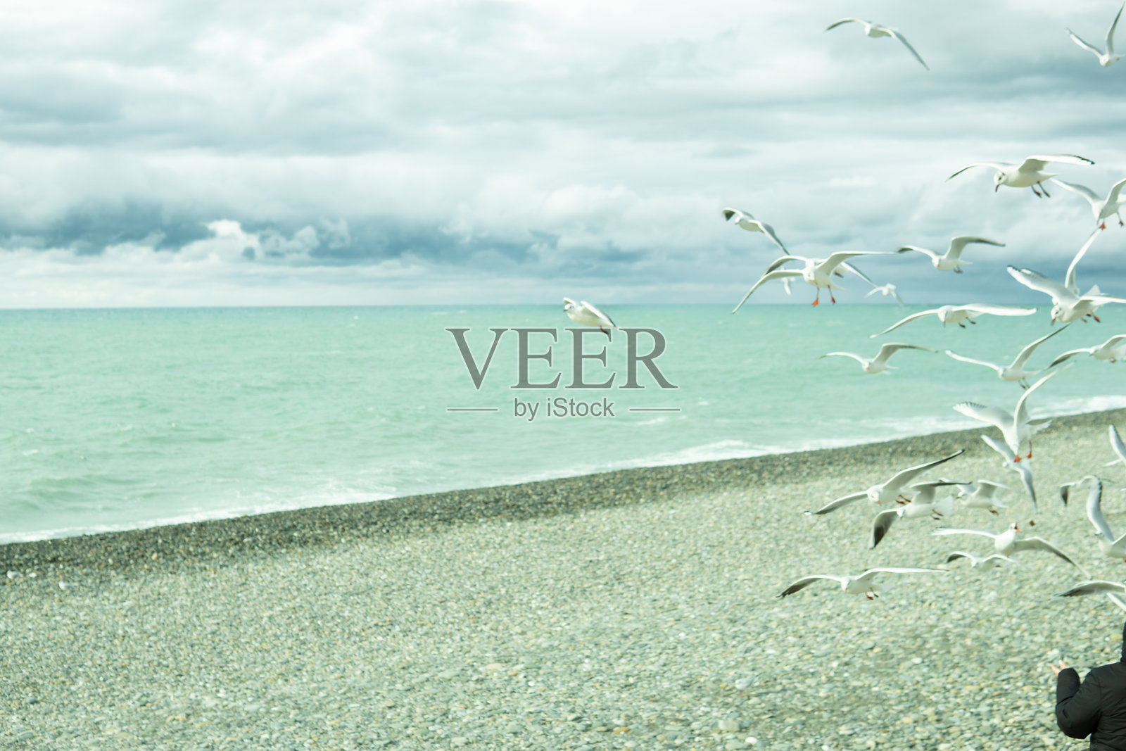 黑海风景如画的海岸,海上旅游度假的概念。照片摄影图片