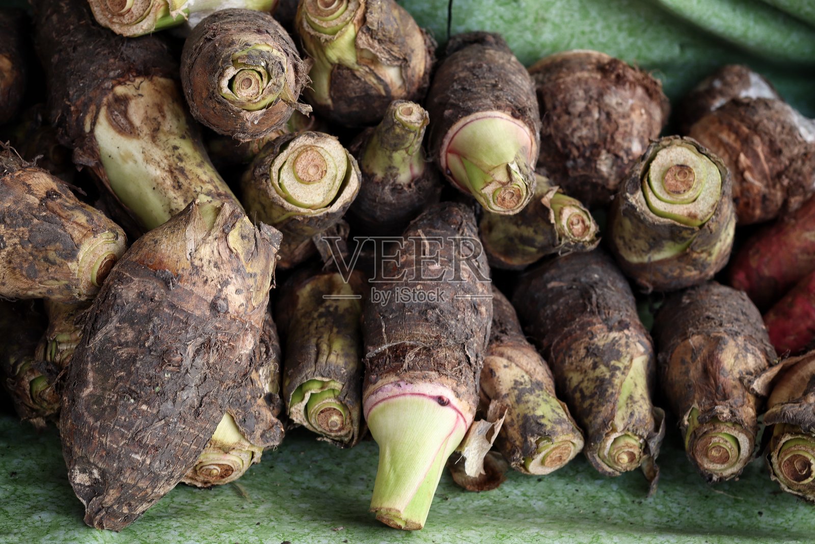 新鲜芋头的特写镜头照片摄影图片