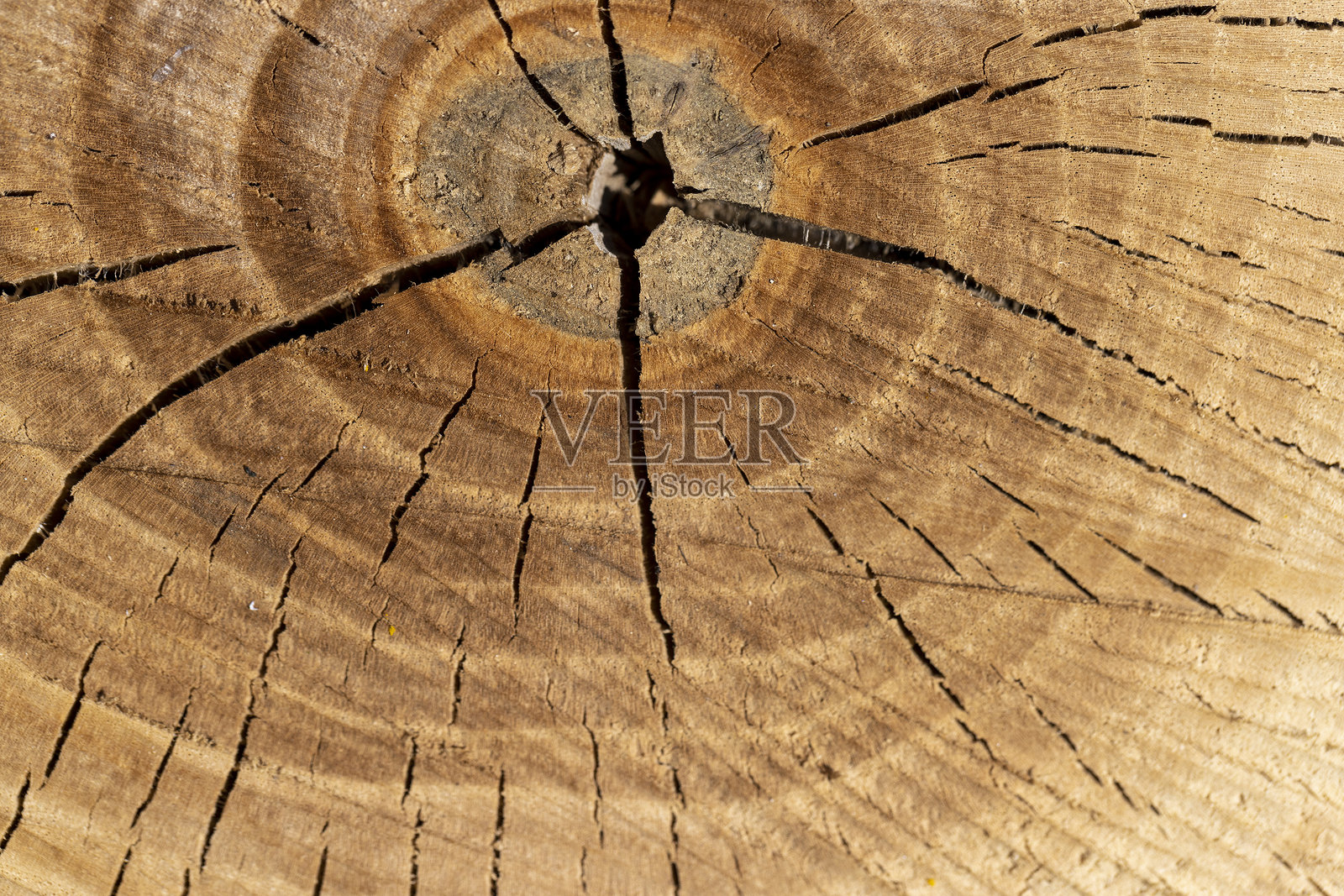 一块胡桃木的木头特写照片摄影图片