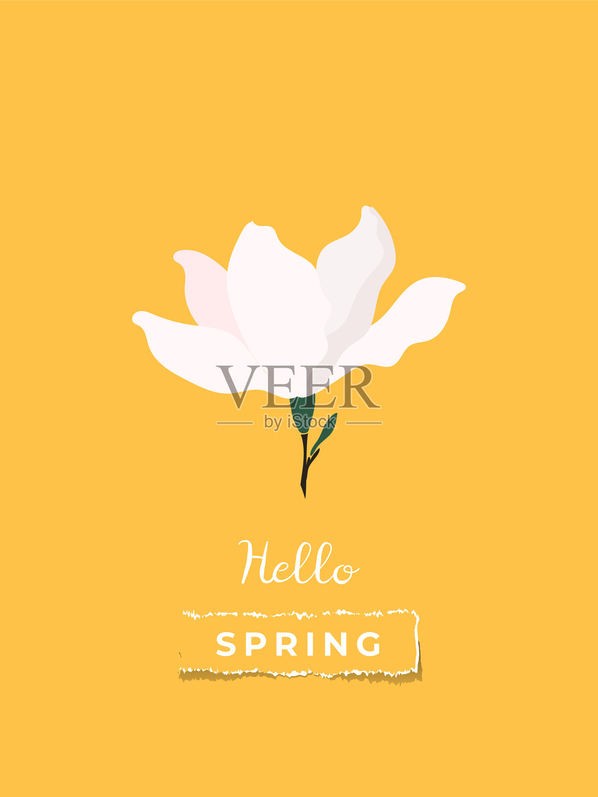 春季贺卡或海报,带有玉兰花。现代花卉模板,适用于三月八日国际妇女节、生日和母亲节。插画图片素材