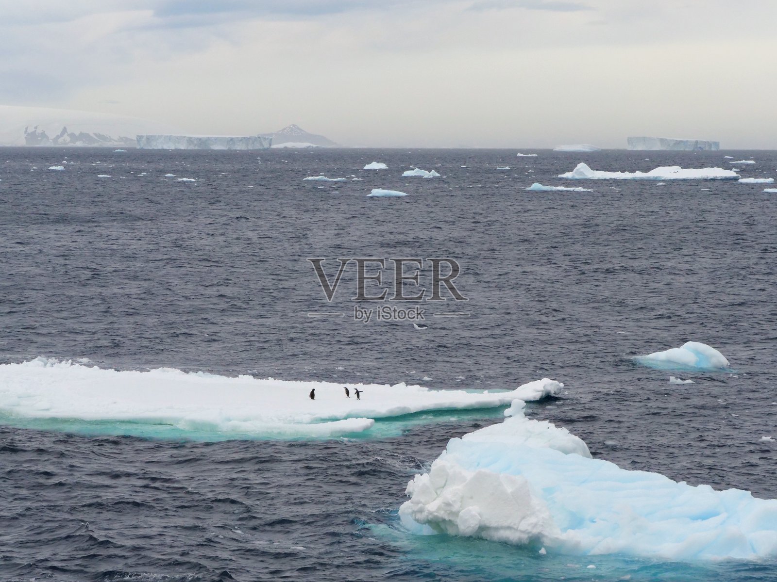 冰山与企鹅照片摄影图片
