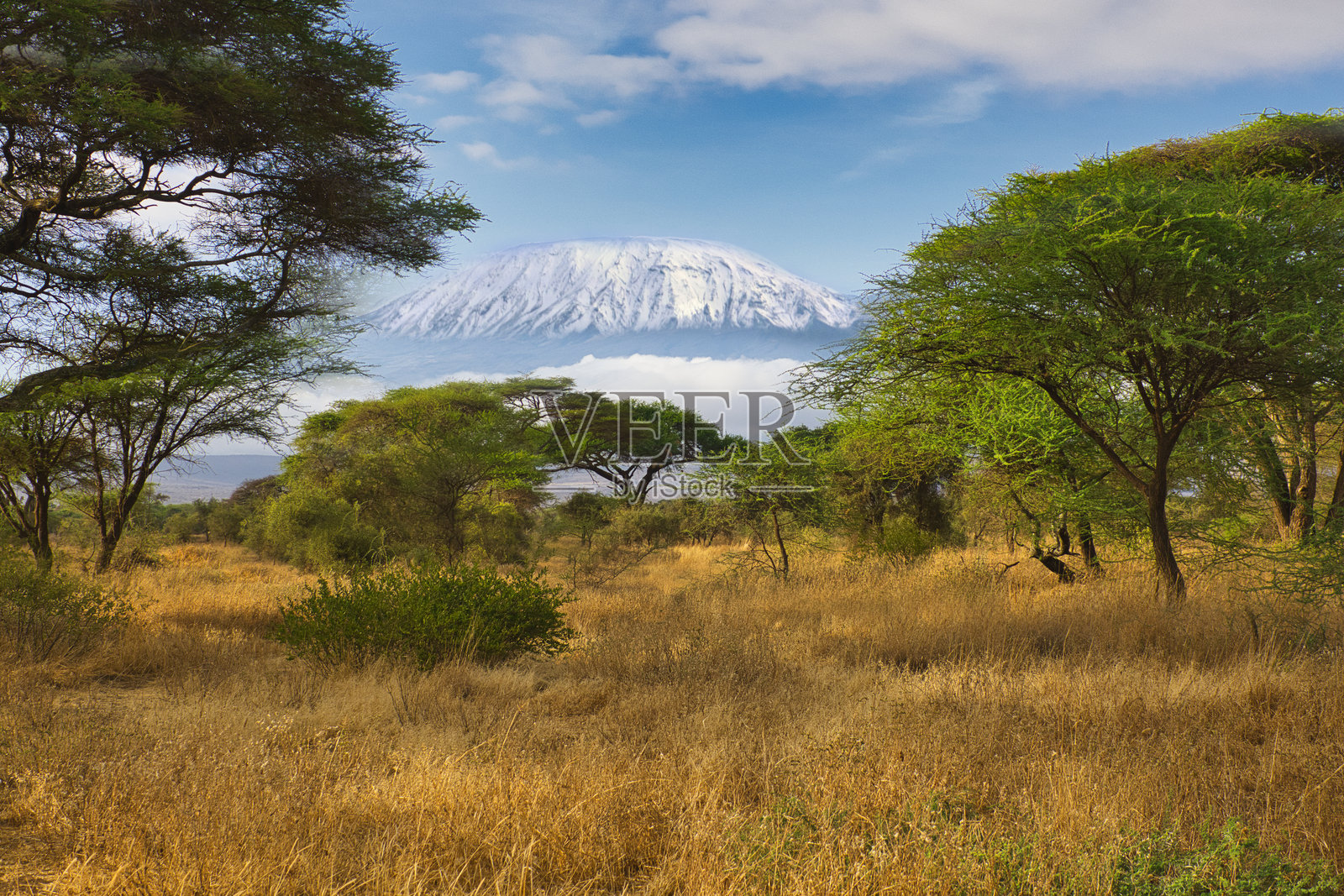 肯尼亚乞力马扎罗山的雪山风光照片摄影图片