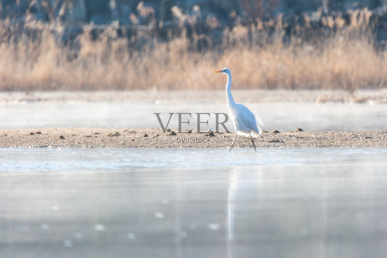 韩国庆尚南道合川郡冬季早晨雾气弥漫的水库风景照片摄影图片