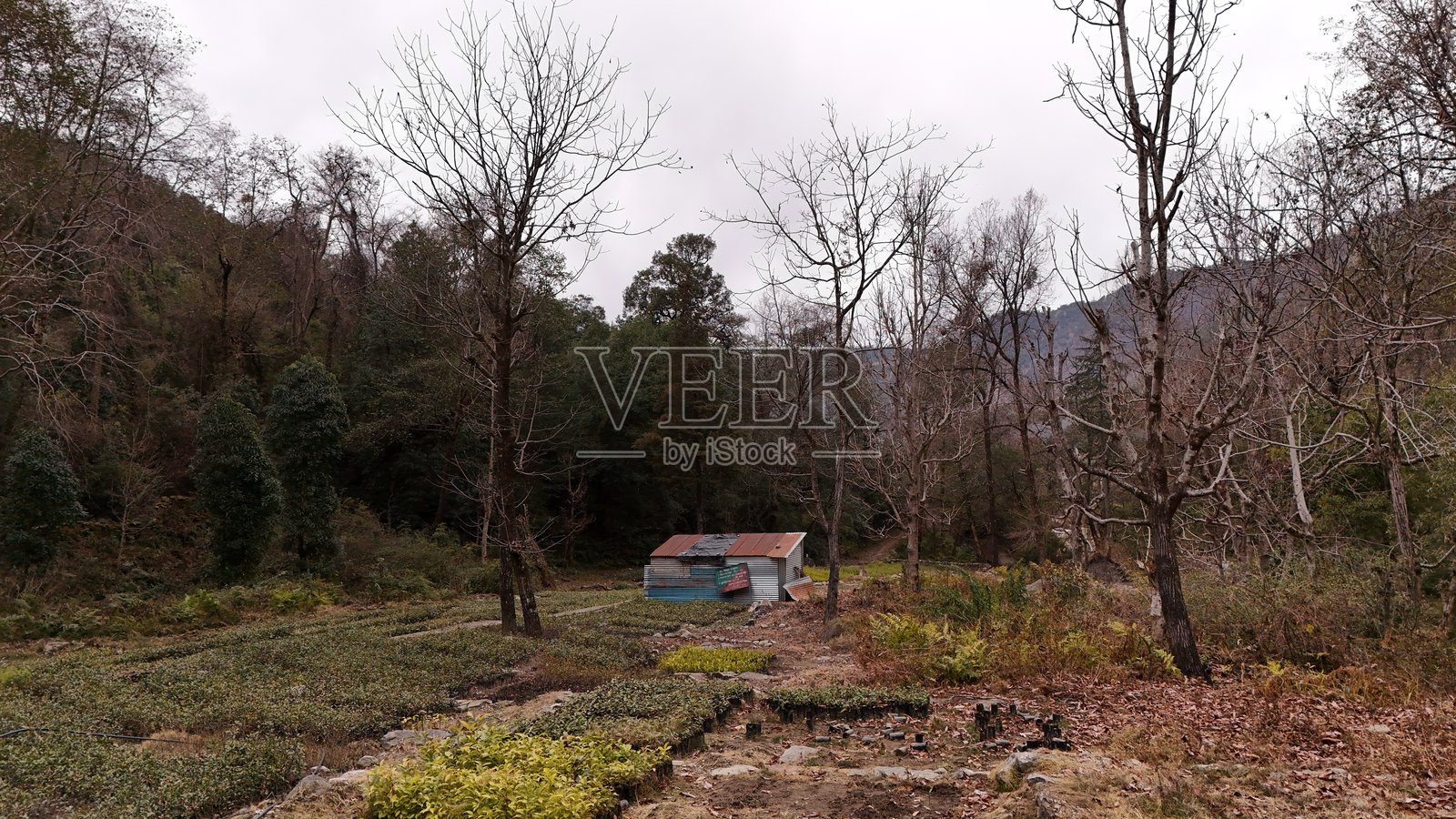 农业农场中的小型临时房屋照片摄影图片