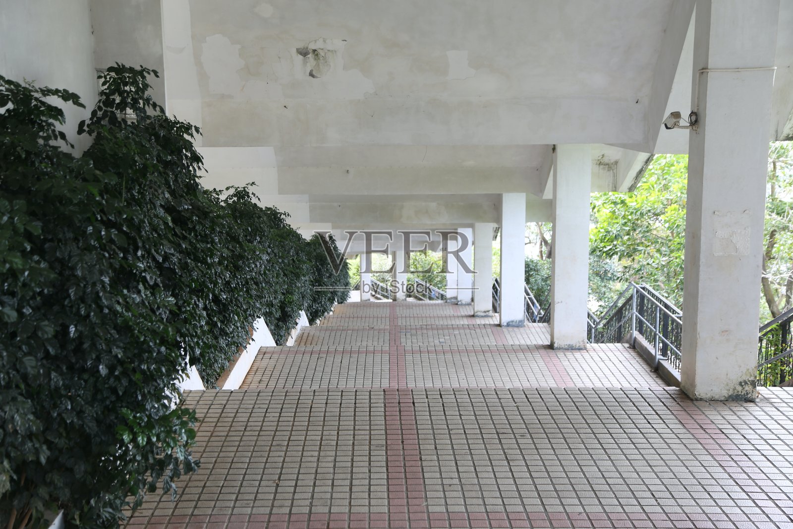 桥下的户外人行道,两侧是绿色植物,白色柱子和地面上铺有瓷砖。照片摄影图片