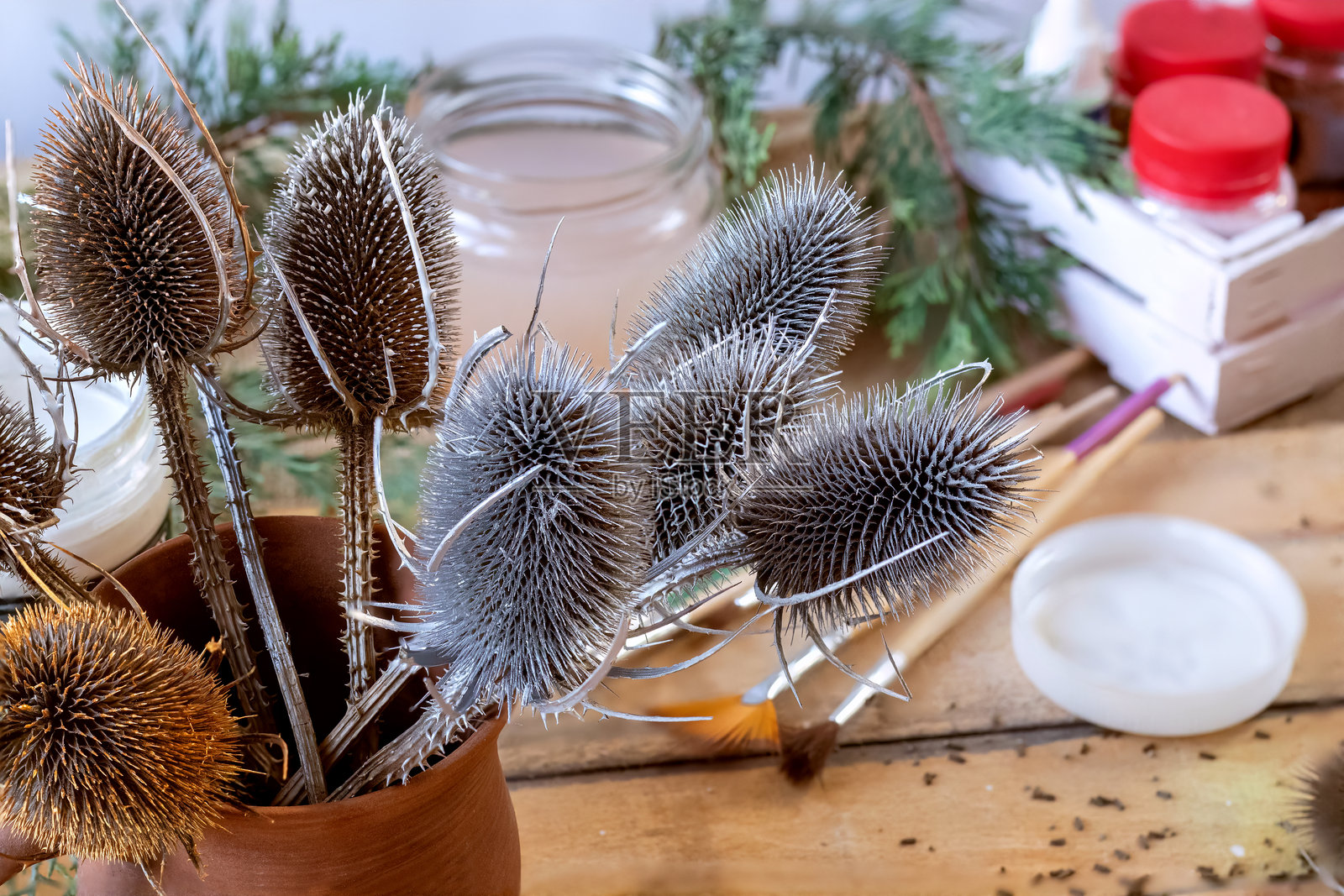 用银色、金色和珍珠白涂料绘制的茶藨子。用于装饰降临节花环和室内。茶藨子。全毛茶藨子。照片摄影图片