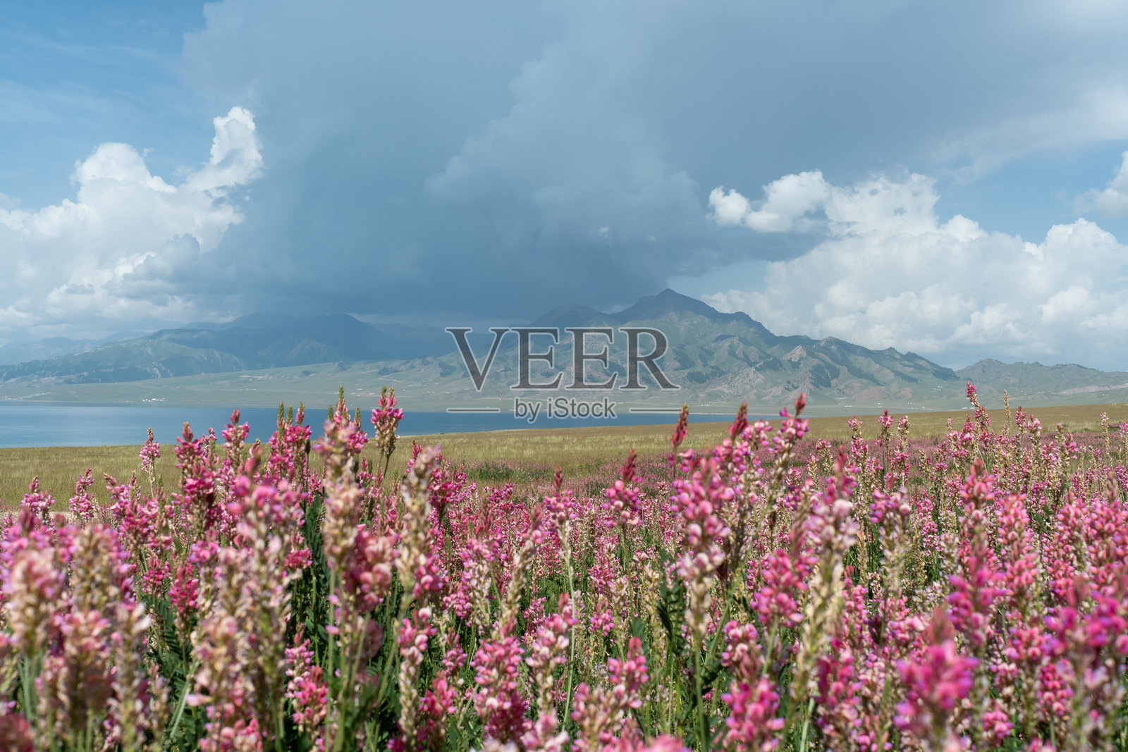 中国新疆维吾尔自治区博尔塔拉赛里木湖风景区照片摄影图片