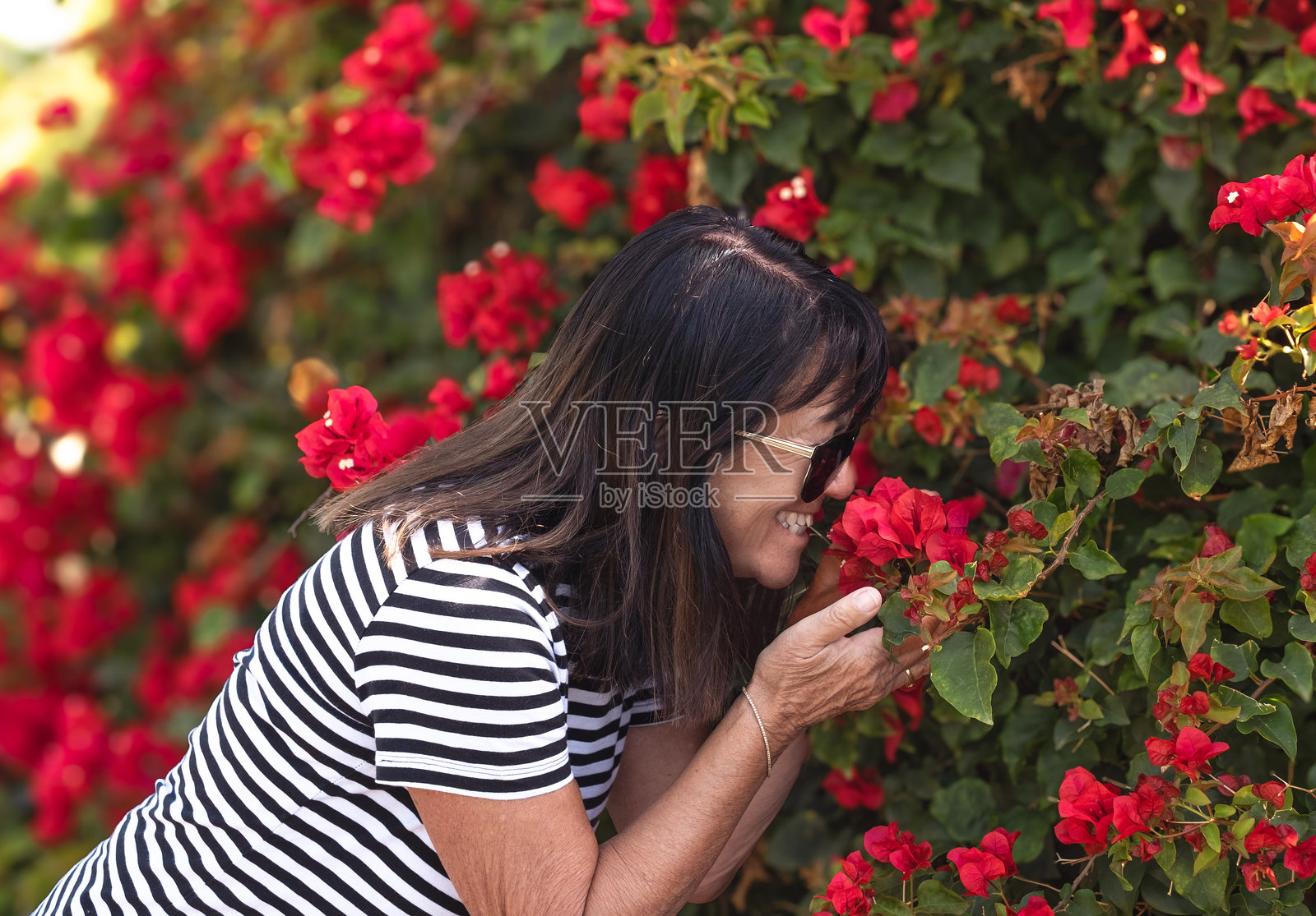 微笑的老年妇女在花圃闻着九重葛的红色花朵享受大自然和自由的时间,正宗的退休生活方式照片摄影图片