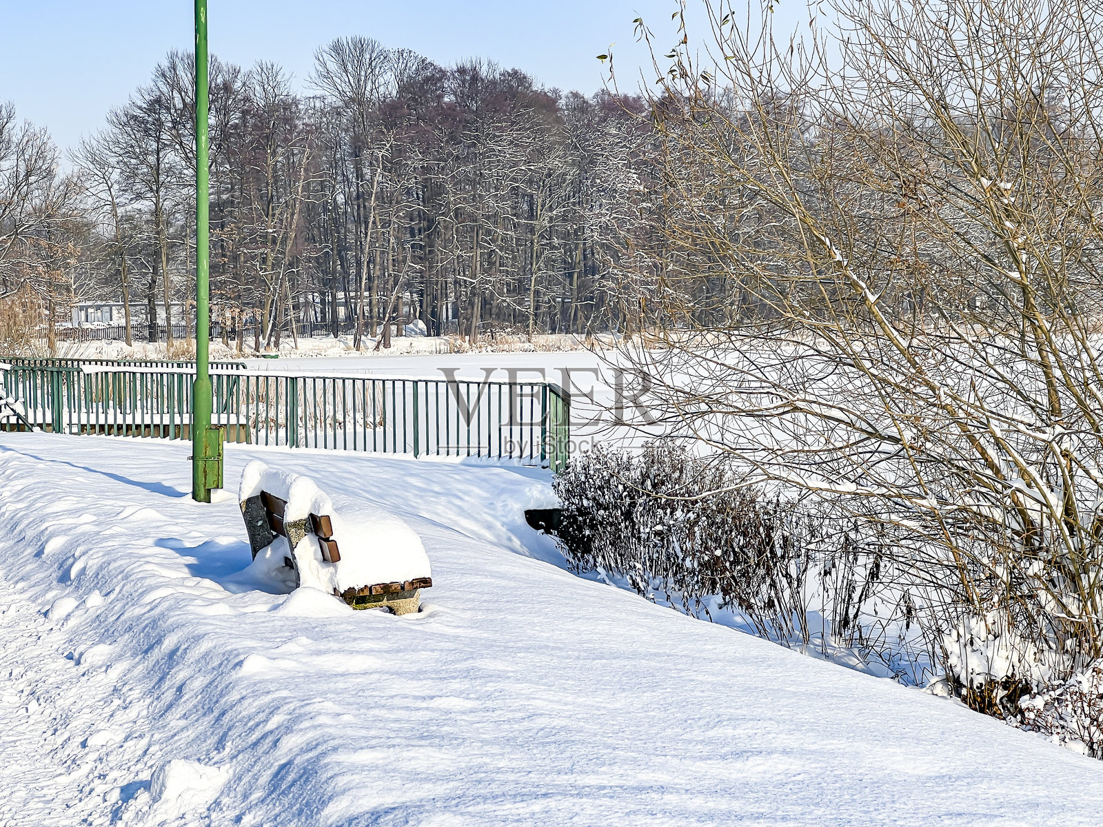 冰雪覆盖的池塘及其岸边,形成了一层白色的覆盖物照片摄影图片