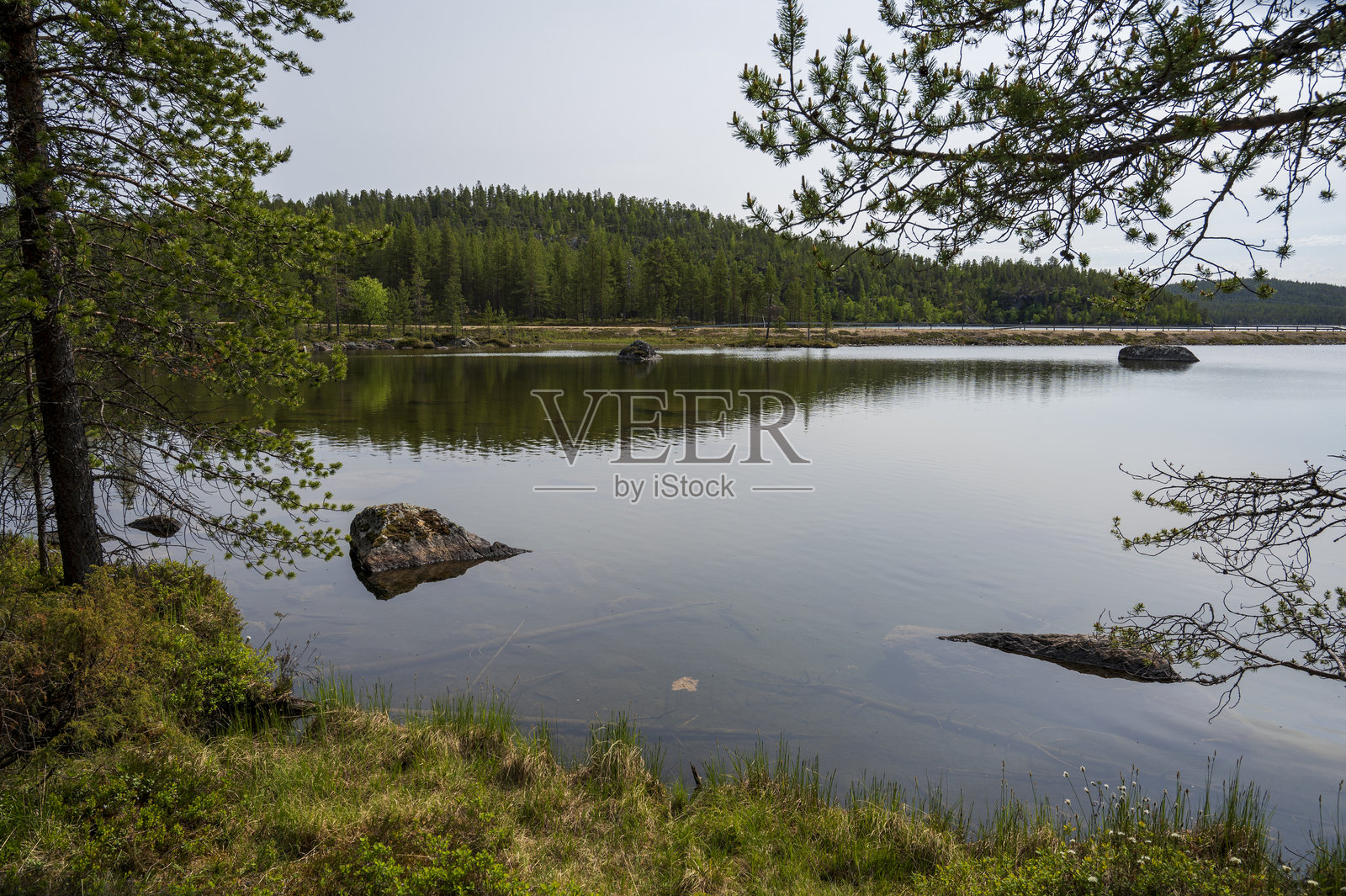 湖景优美,周围有针叶林、草地和道路照片摄影图片
