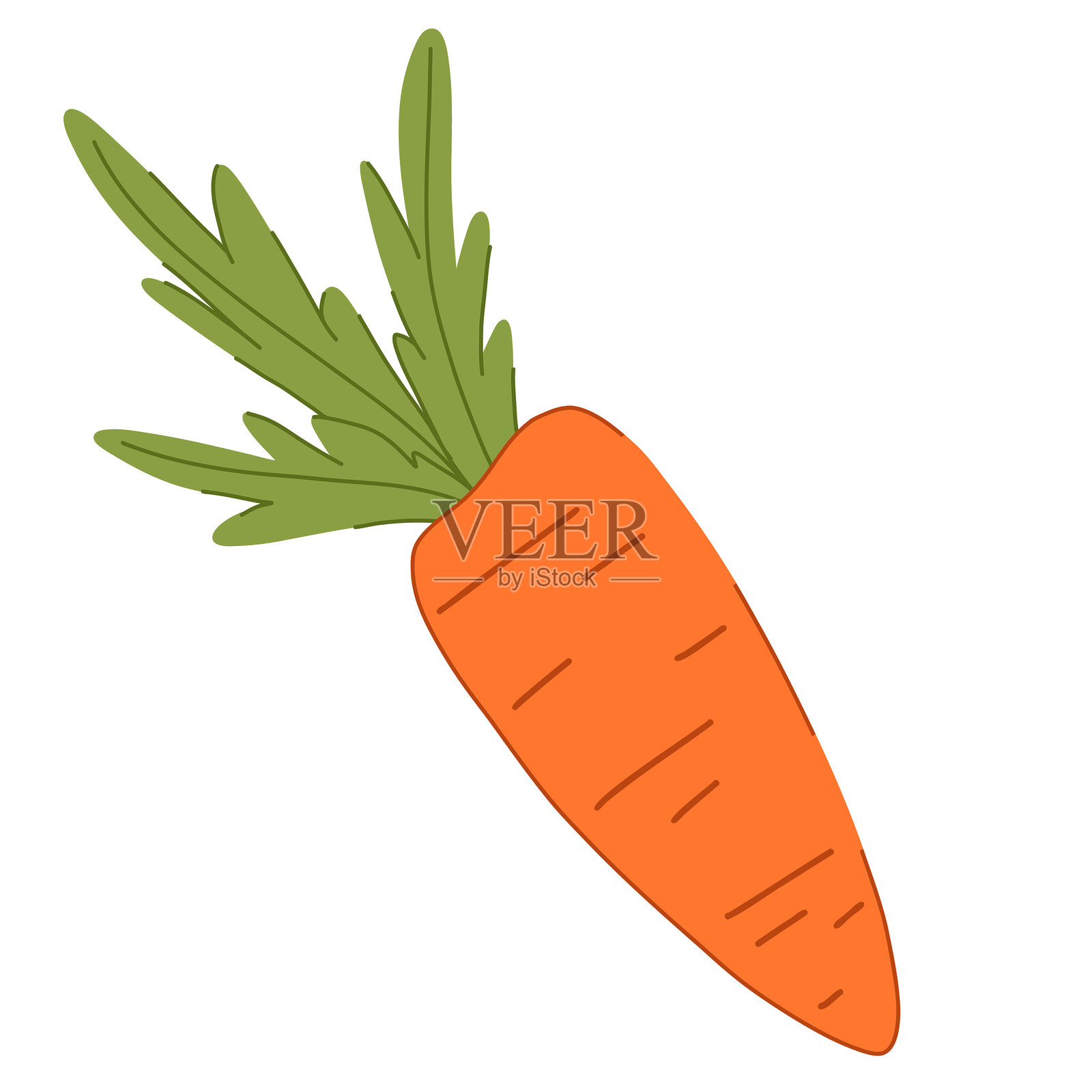 孤立的胡萝卜矢量图,外观新鲜而生动。流畅的线条和大胆的色彩营造出现代美感。插画图片素材