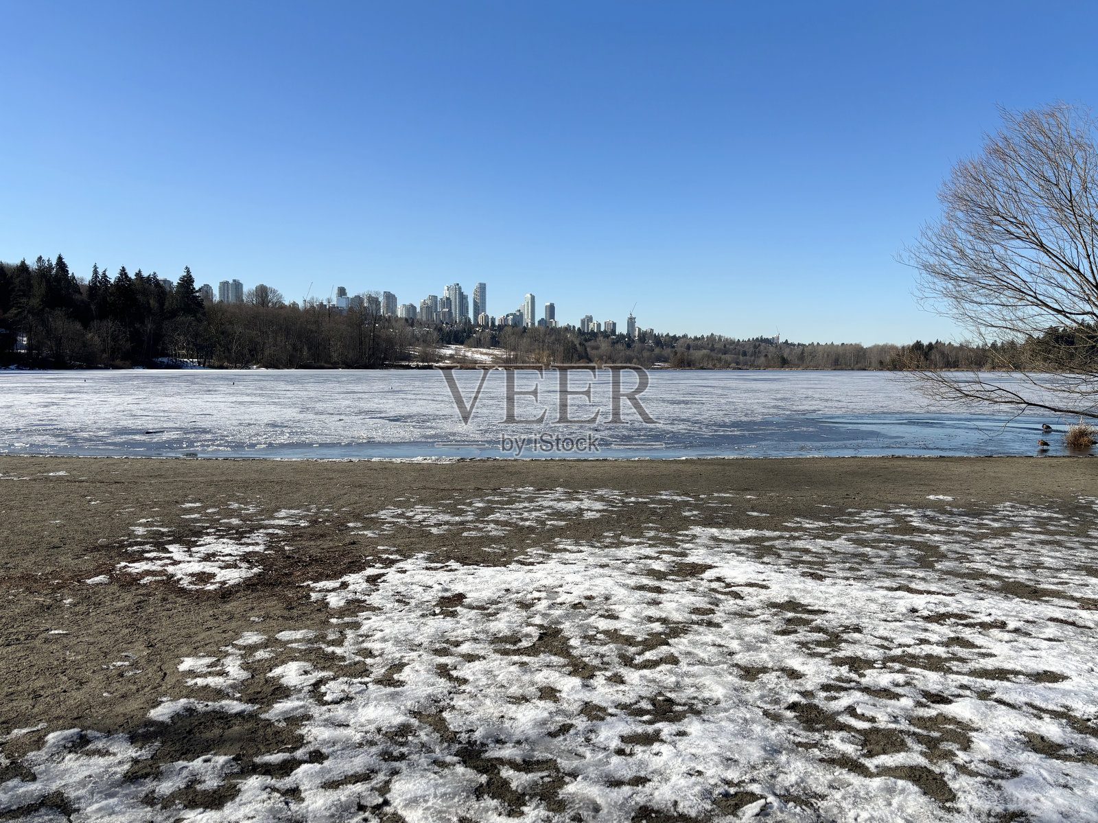 温哥华伯纳比的冰冷鹿湖照片摄影图片