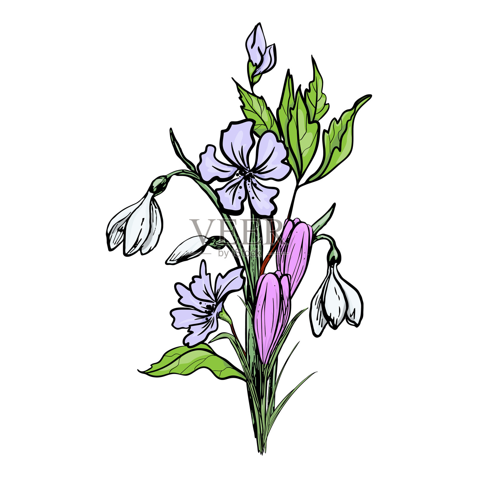 手绘彩色矢量花束插画图片素材