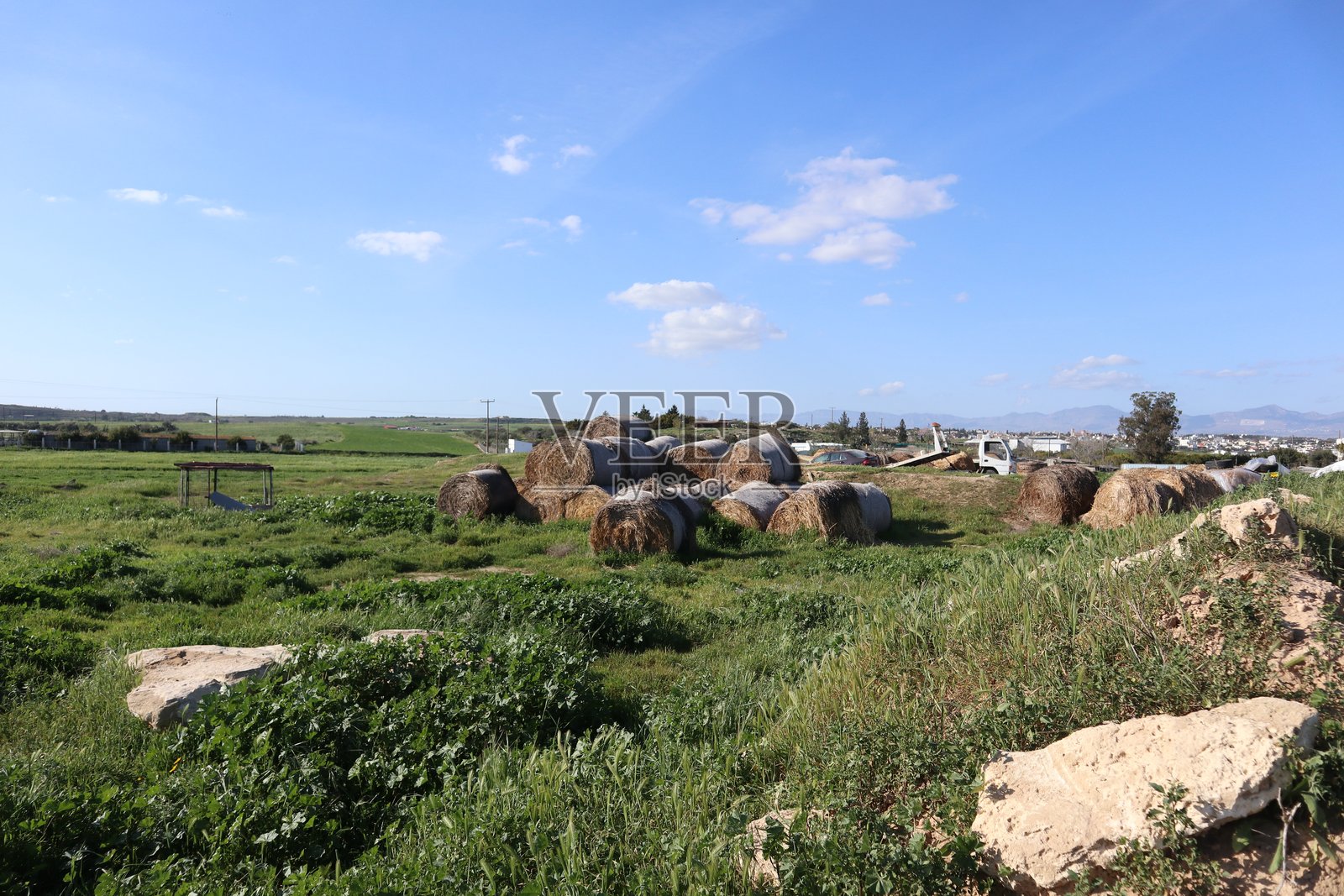 绿色田野中的干草堆美景。草食动物的食物。照片摄影图片