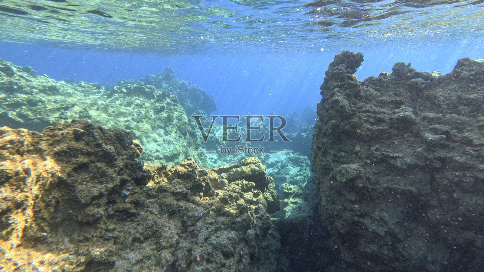 早晨阳光透过水面照射下的水下景观照片摄影图片