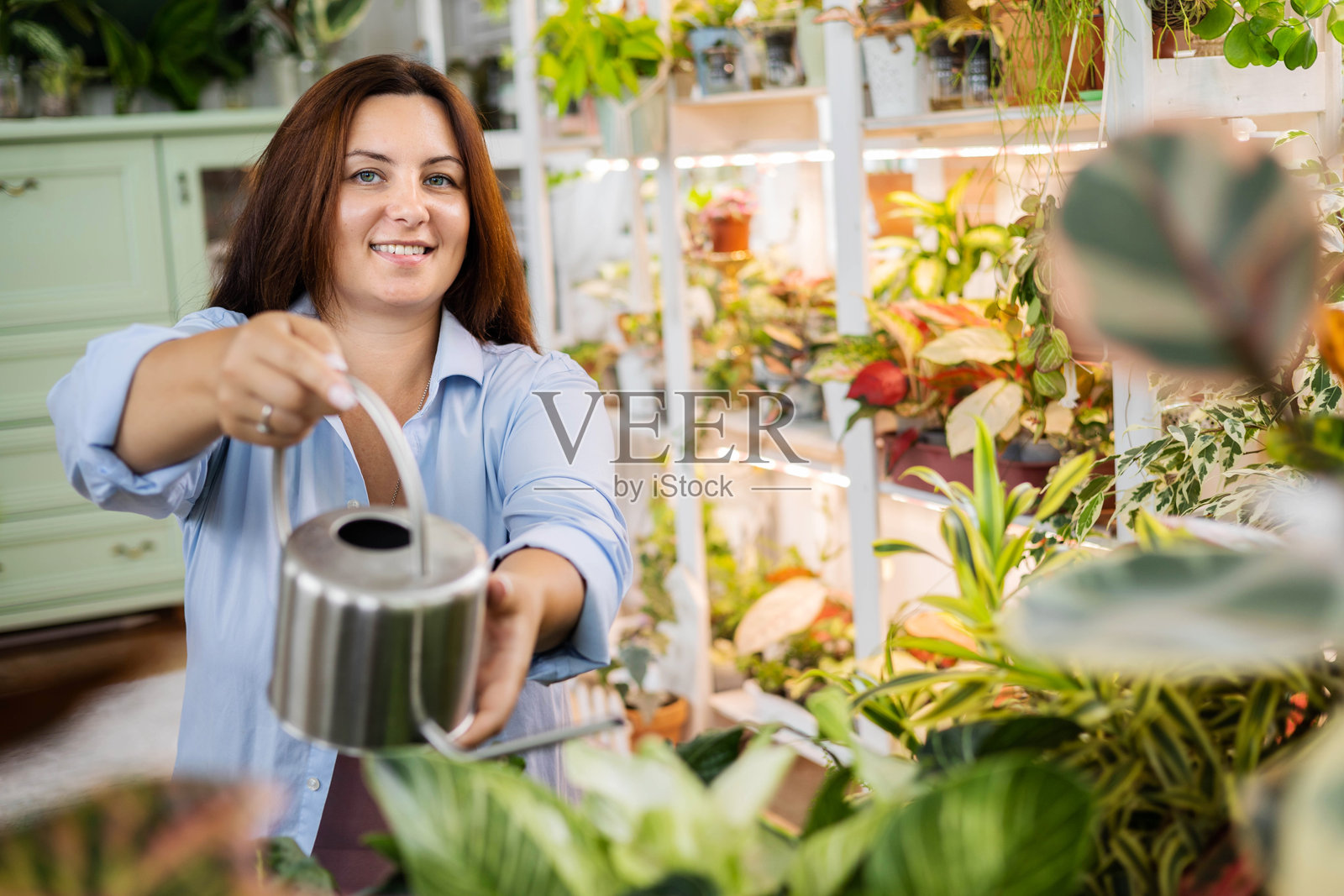 无法辨认的女性园丁花卉师在室内花园中使用浇水壶进行植物护理特写镜头照片摄影图片