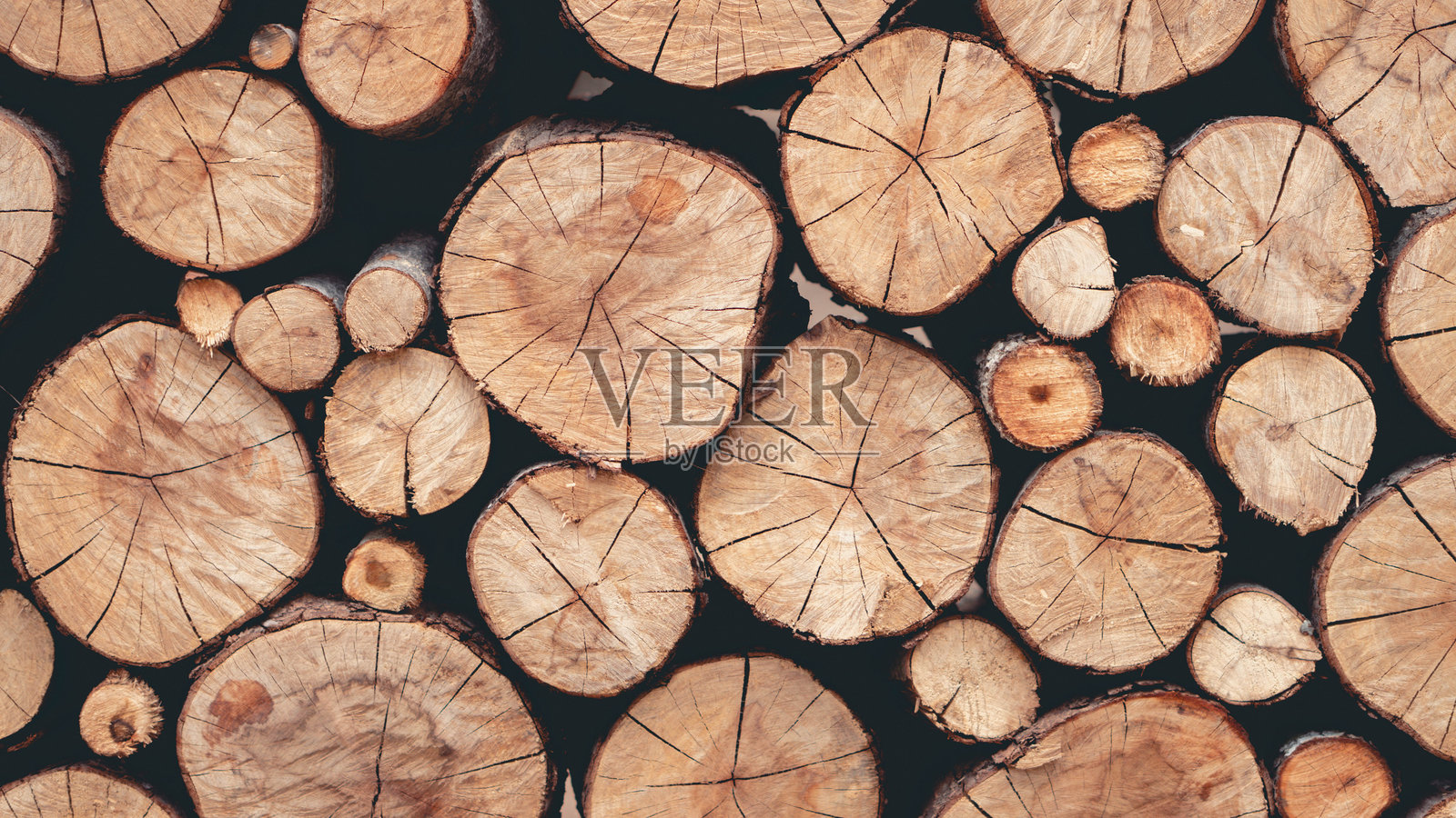 木质背景。纹理,树桩木质背景。照片摄影图片