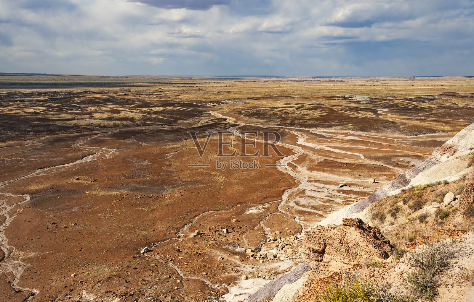 石化森林国家公园照片摄影图片
