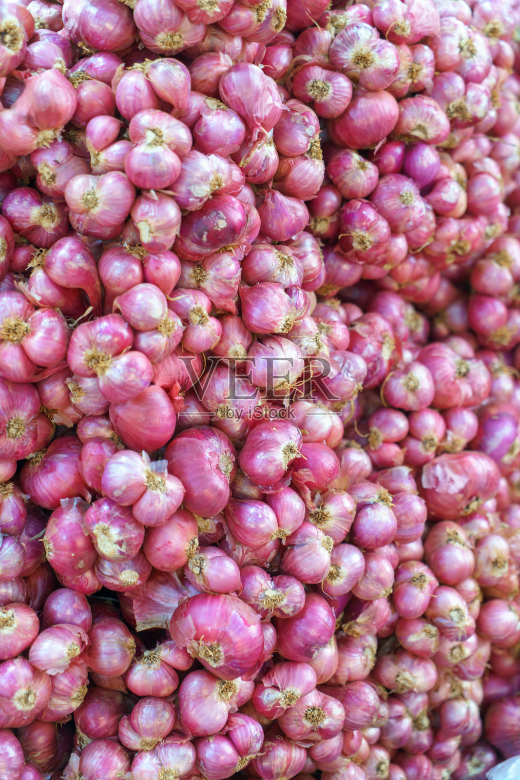 新鲜的红葱堆在一起照片摄影图片