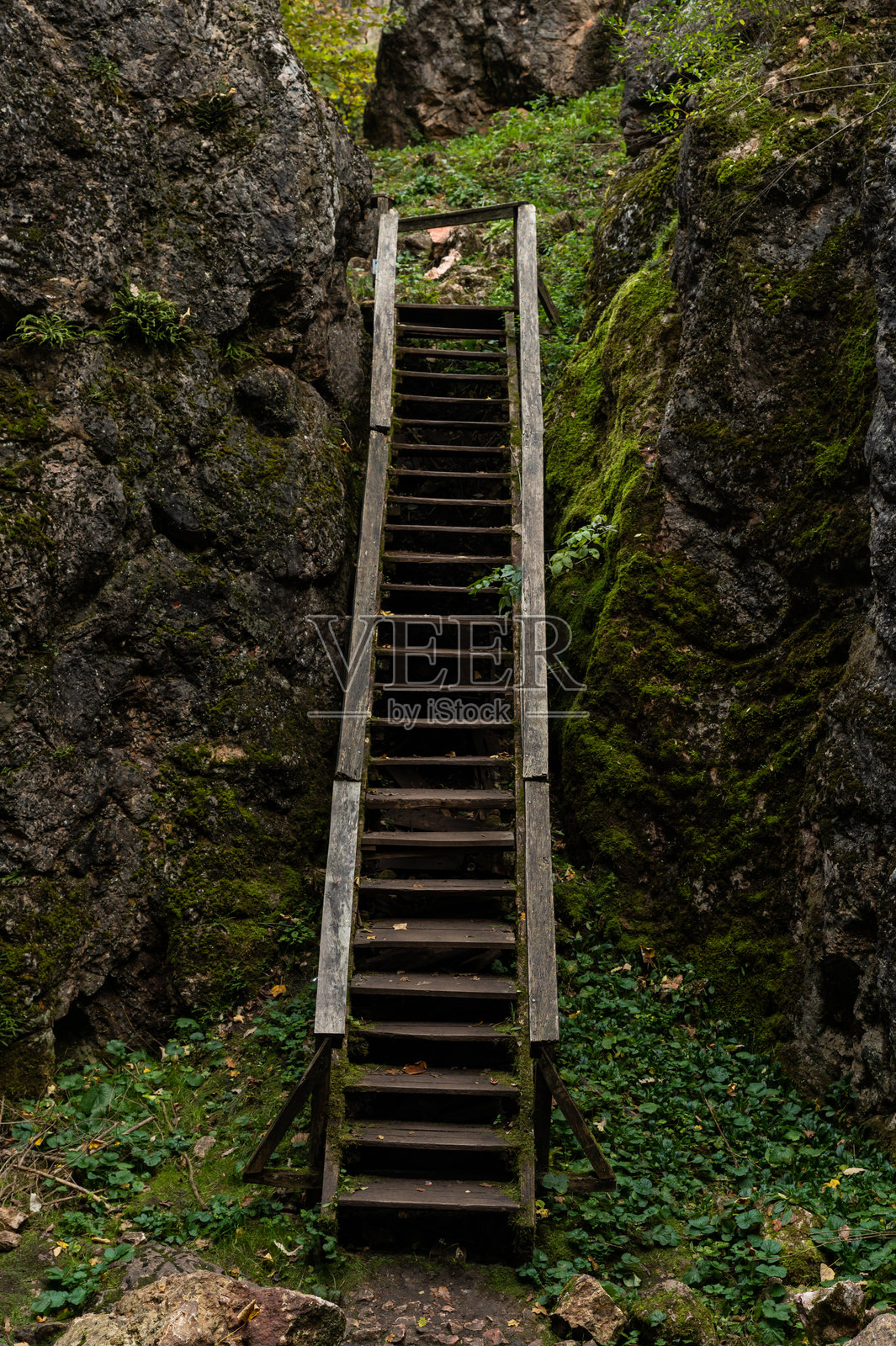 Úrkút的帕莱卡尔斯特自然保护区内狭窄的木制楼梯照片摄影图片