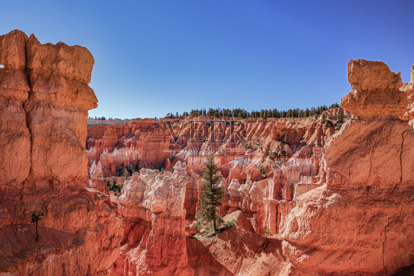 体验布莱斯峡谷令人惊叹的风景和独特迷人的岩石 formations,布莱斯峡谷国家公园,美国照片摄影图片