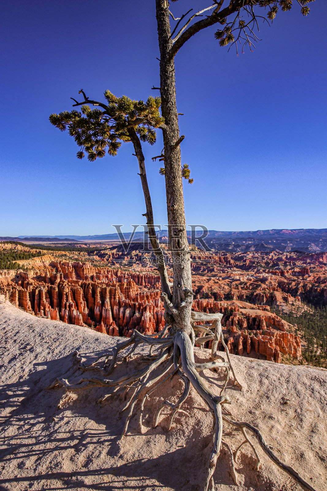 体验布莱斯峡谷令人惊叹的风景和独特迷人的岩石 formations,布莱斯峡谷国家公园,美国照片摄影图片