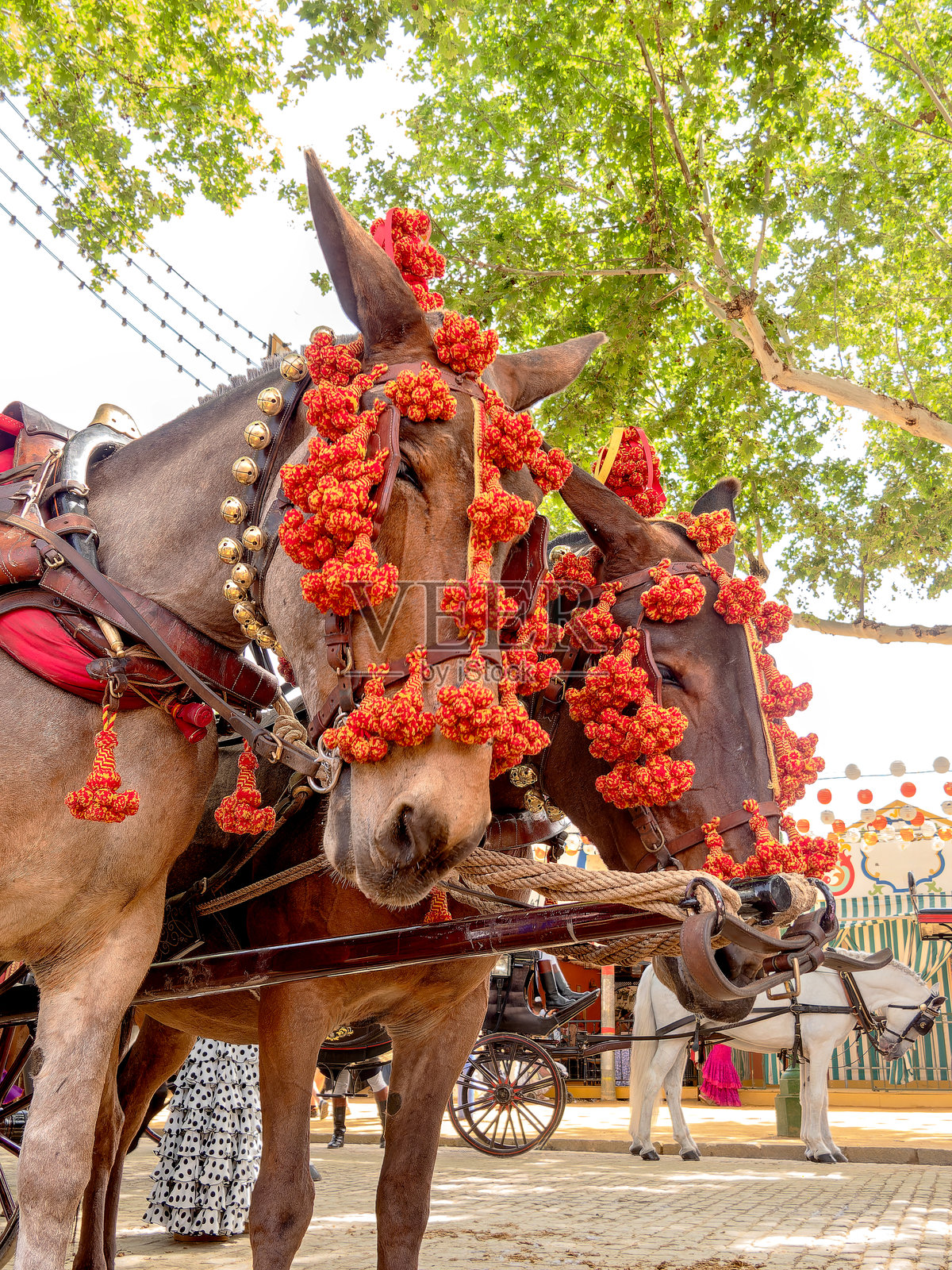 优雅的马匹装饰为塞维利亚四月节庆典照片摄影图片